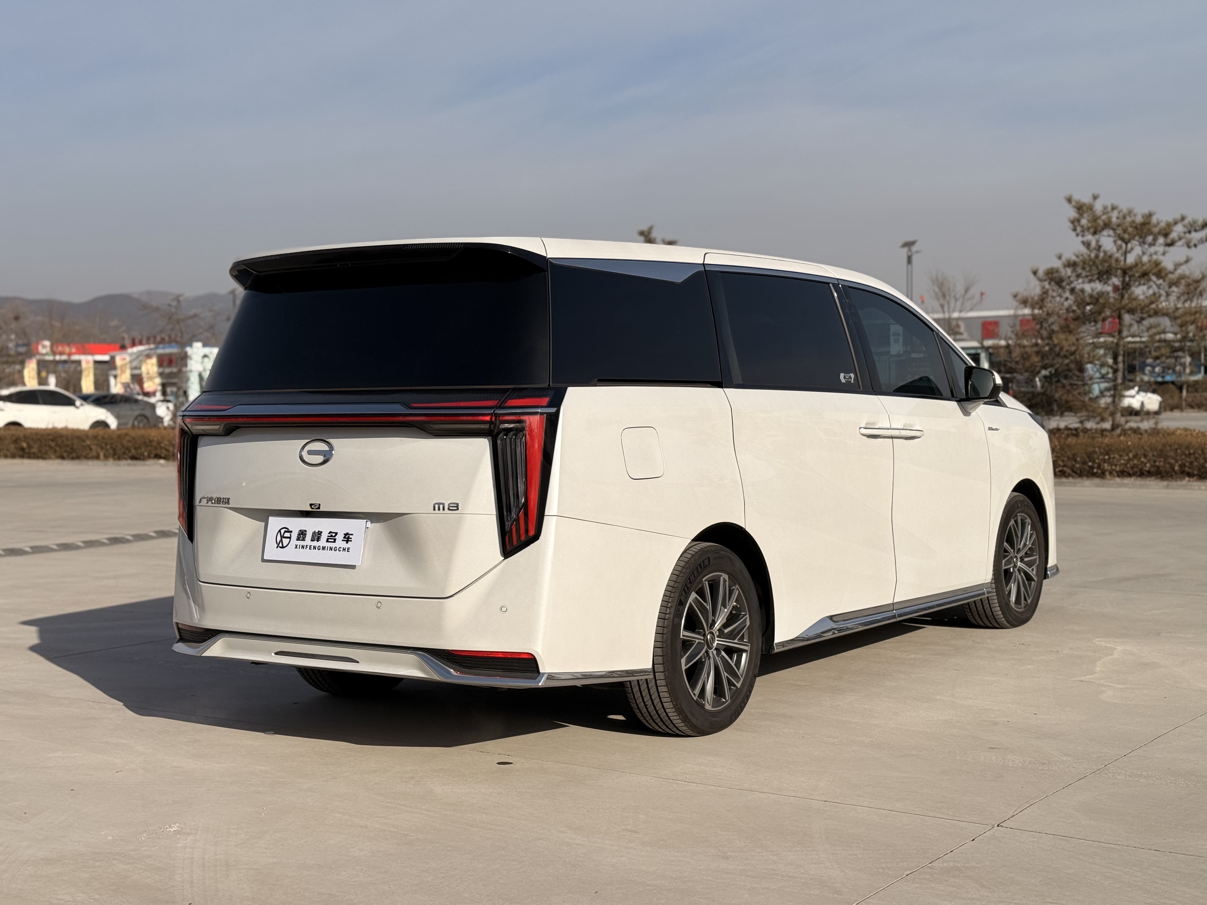 GAC Trumpchi M8 2024 car image #7