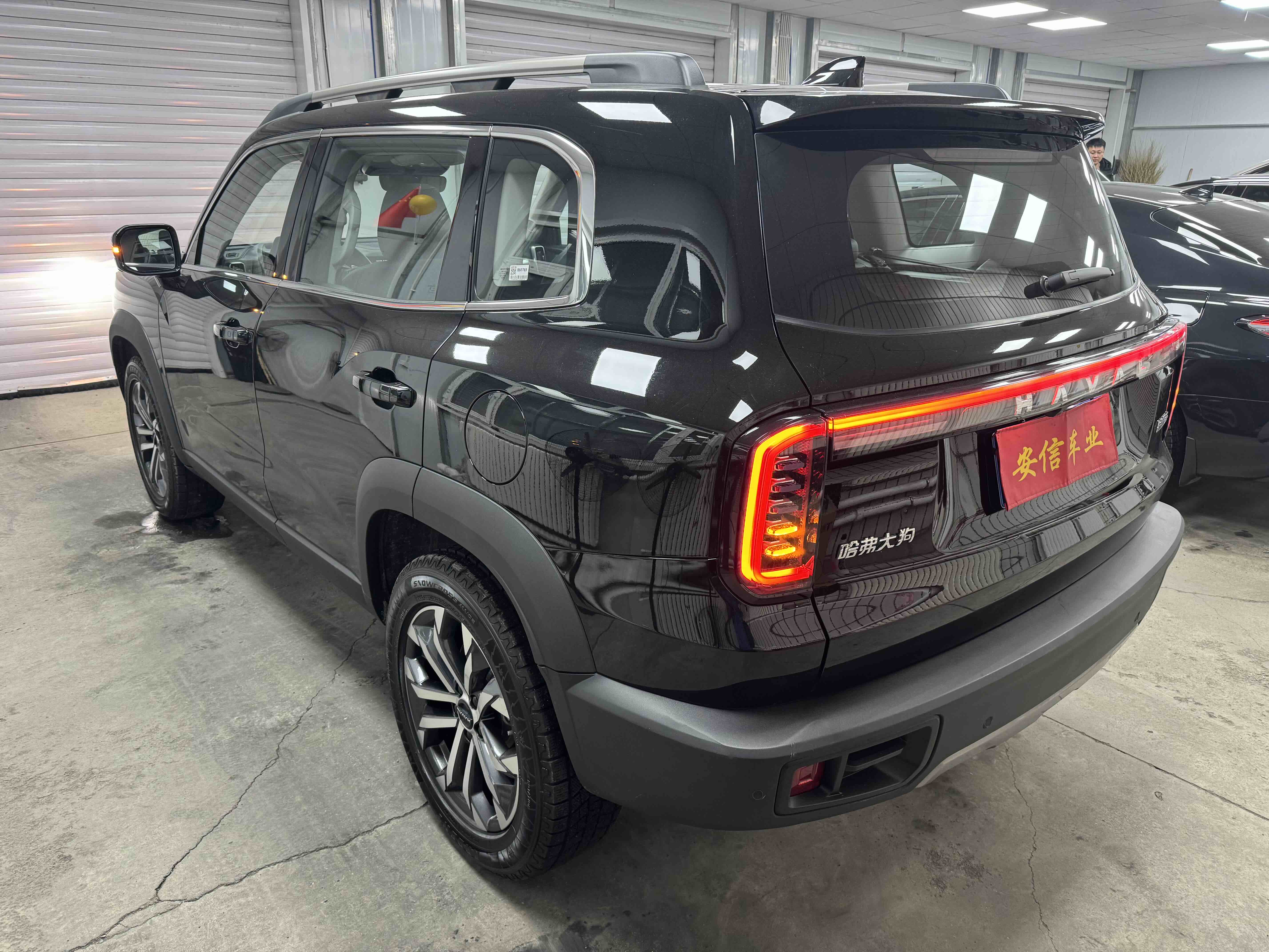 Haval X Dog / Dargo 2023 car image #7