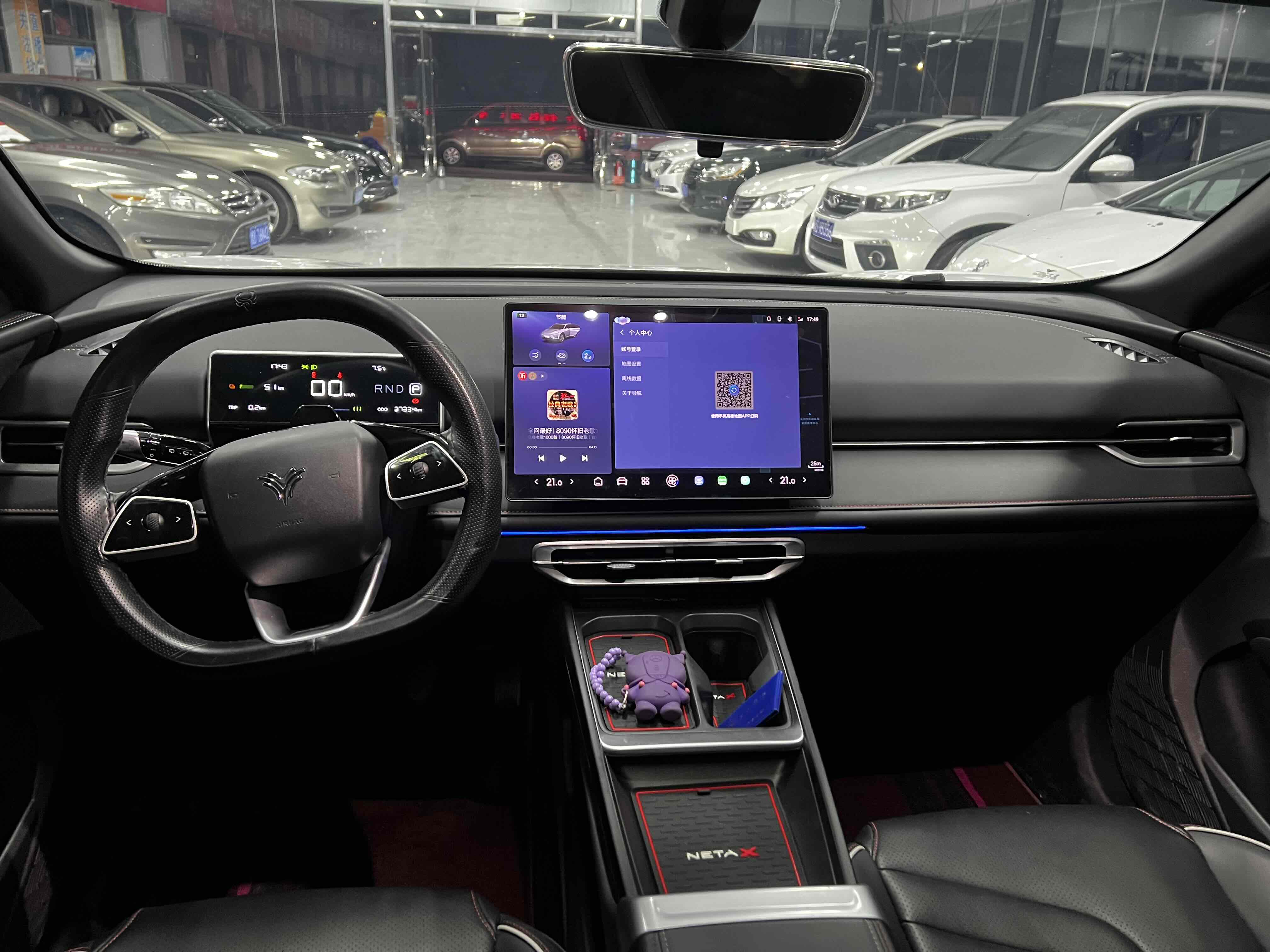 Neta X 2024 imagem de carro #7