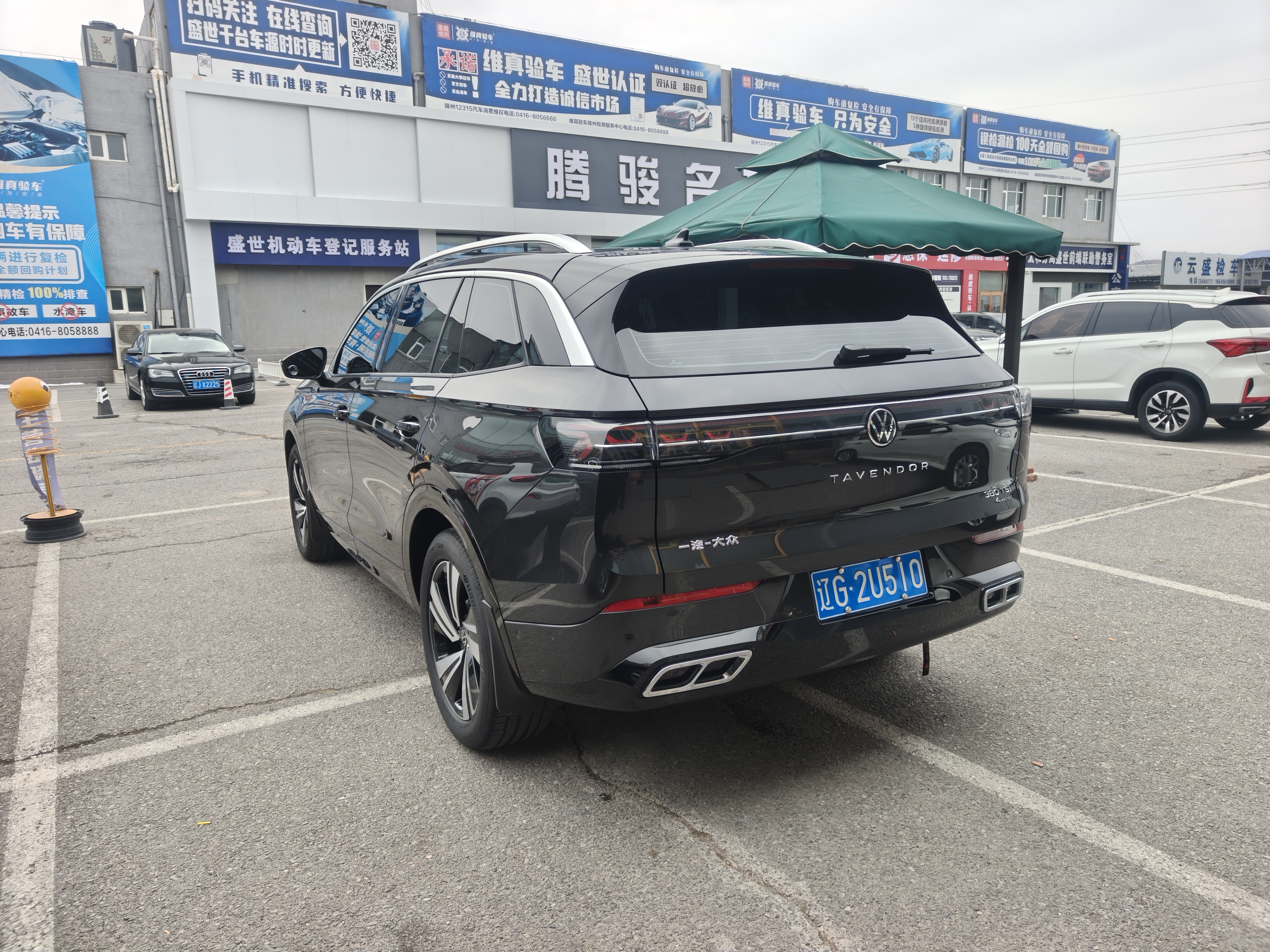 Volkswagen Tavendor 2024 immagine di auto #7