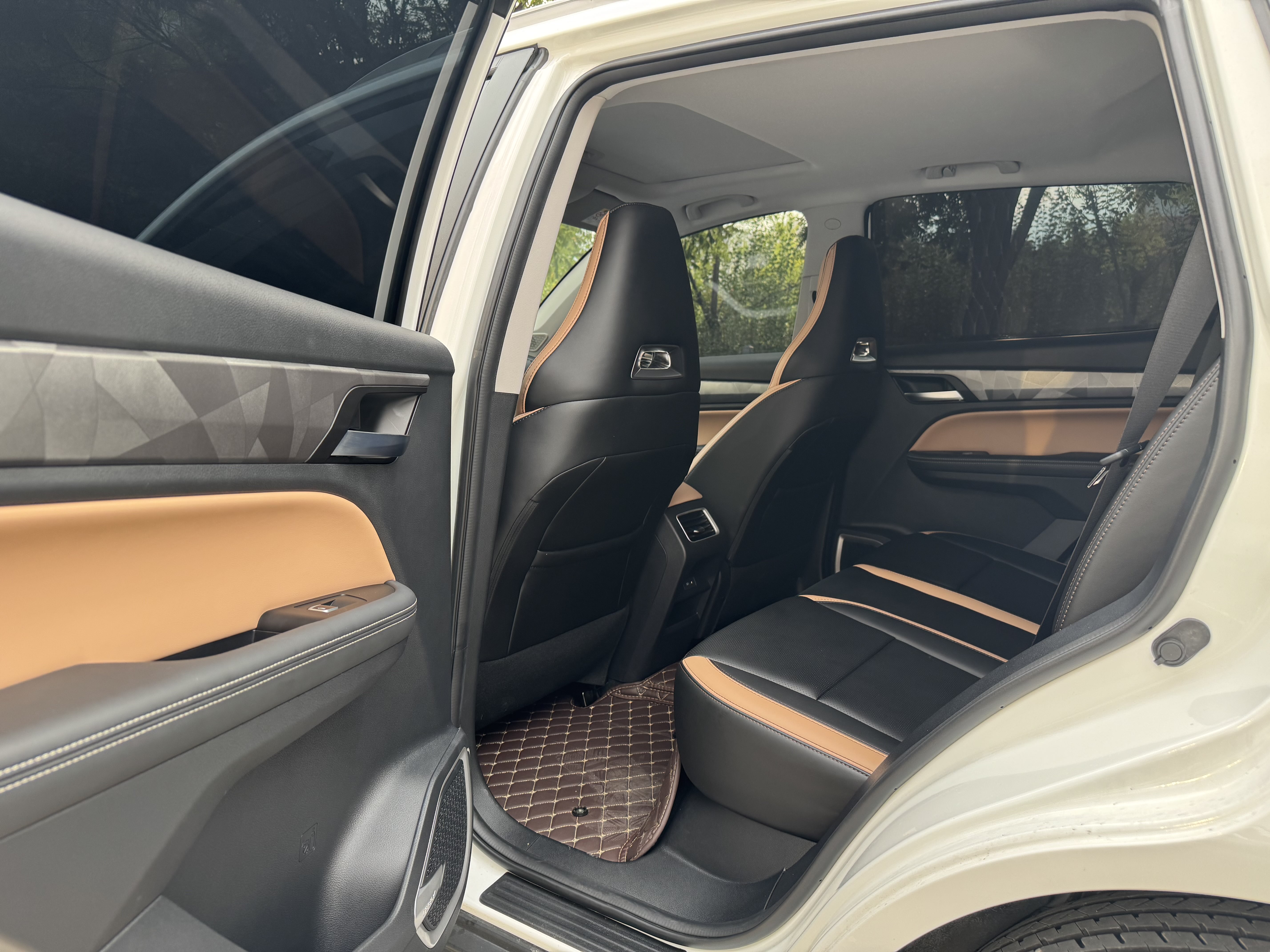 GEELY OkavangoPRO 2025 car image #7