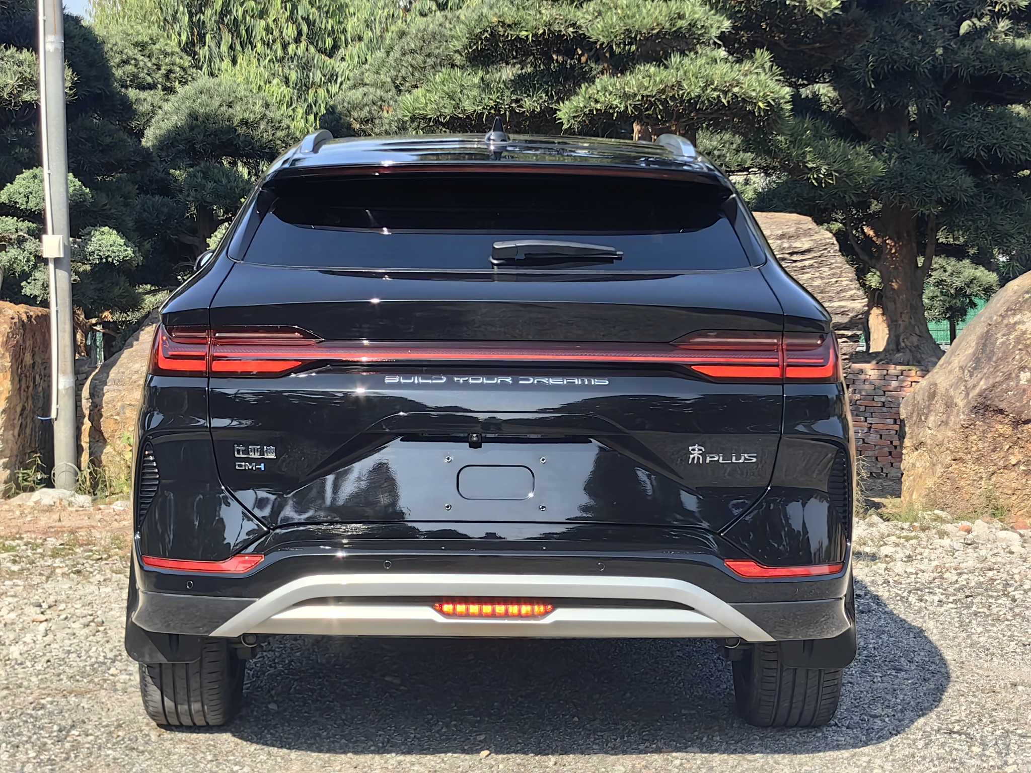 BYD Song Plus New Energy 2024 car image #7