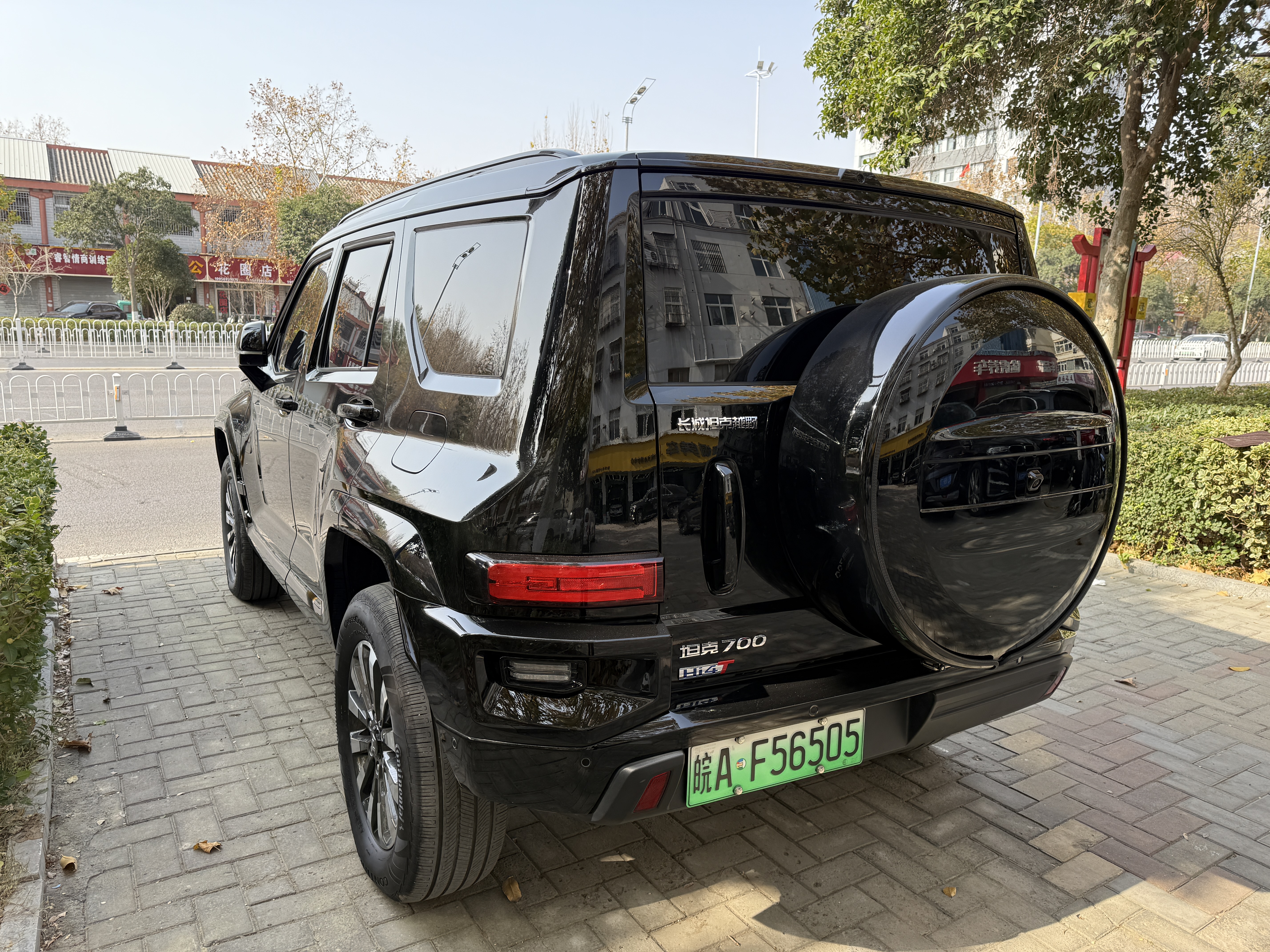 Tank 700 New Energy 2024 immagine di auto #7