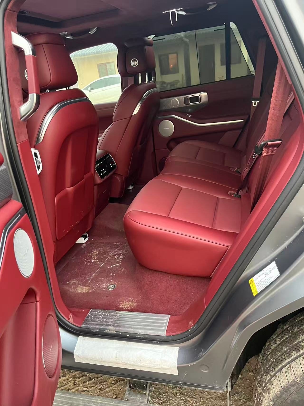 Tank 700 New Energy 2024 #7 Tank 700 New Energy 2024 immagine di auto #7