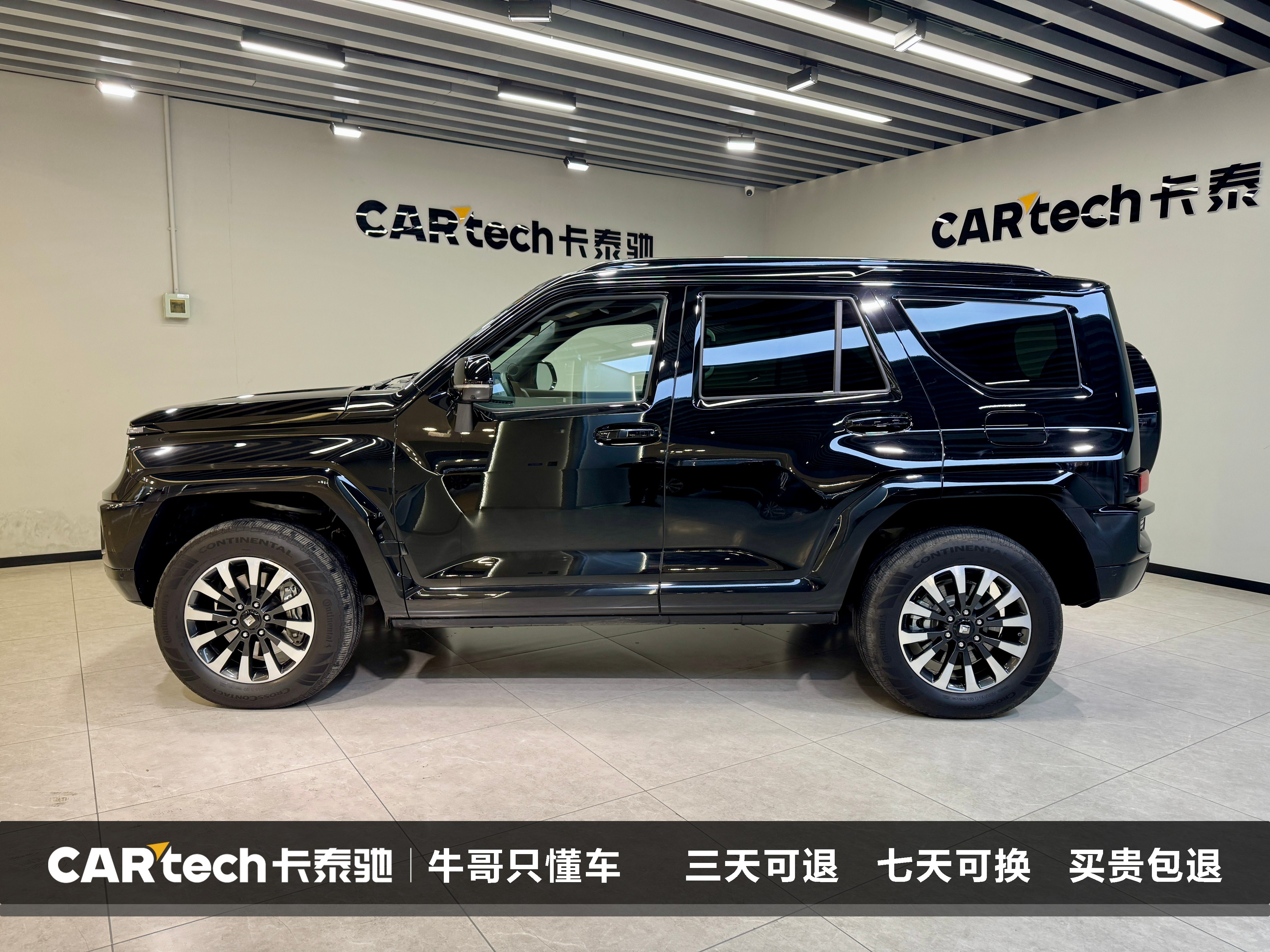 Tank 700 New Energy 2024 immagine di auto #7