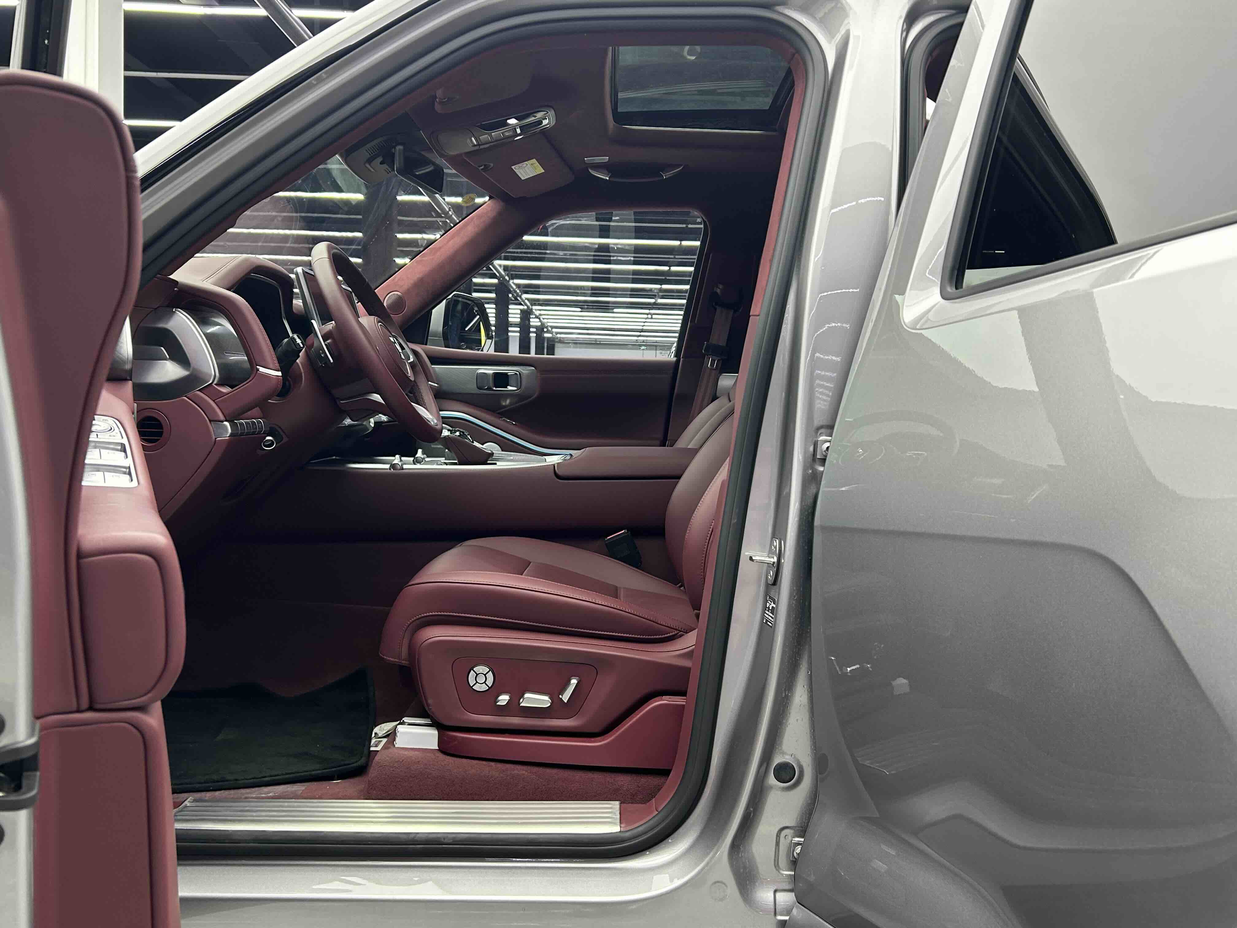 Tank 700 New Energy 2025 #7 Tank 700 New Energy 2025 immagine di auto #7