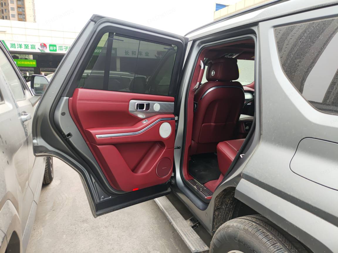 Tank 700 New Energy 2024 car image #7