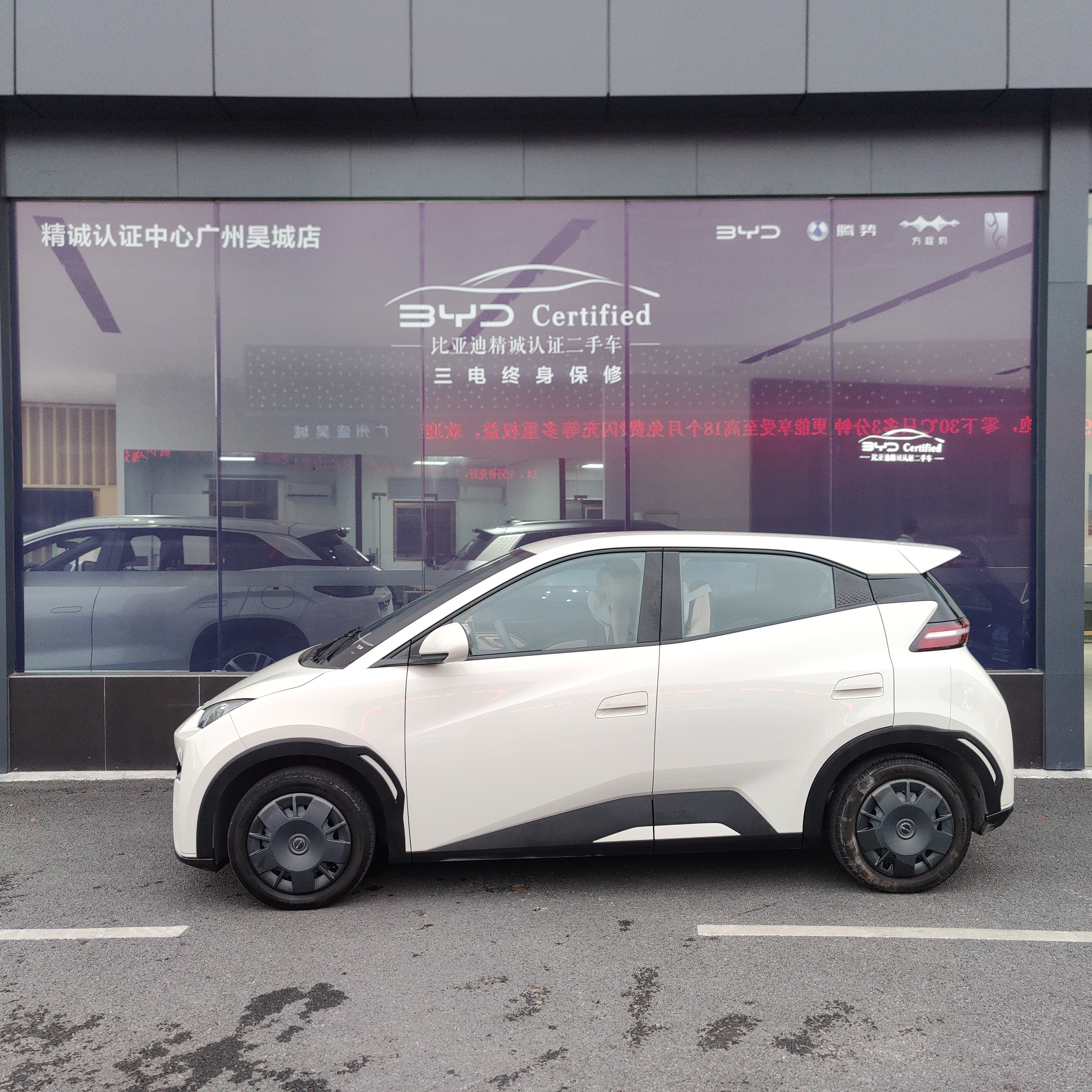 BYD Seagull 2024 car image #7