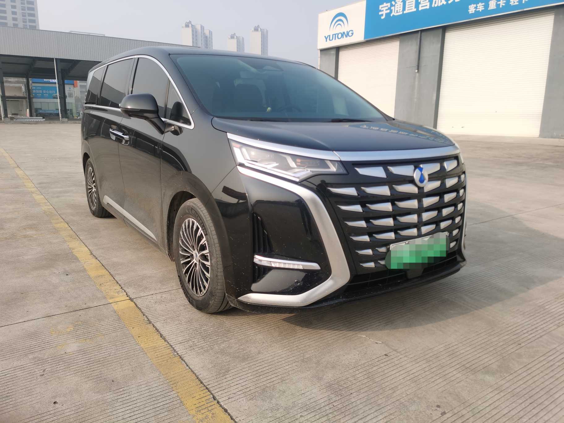 Denza D9 2024 car image #7