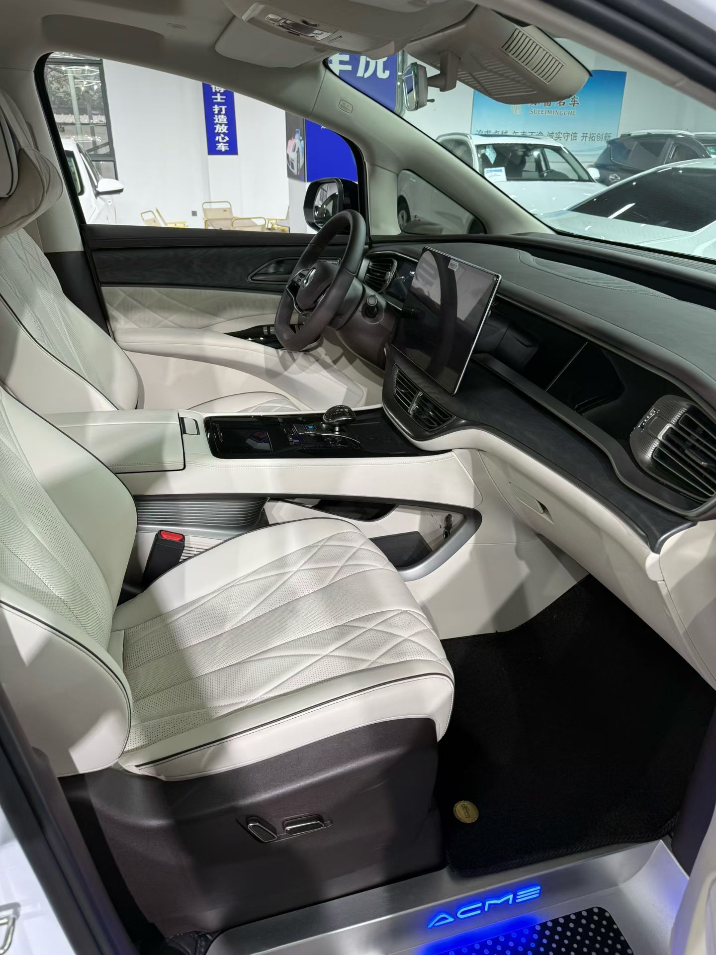 Denza DENZA 2024 imagem de carro #7