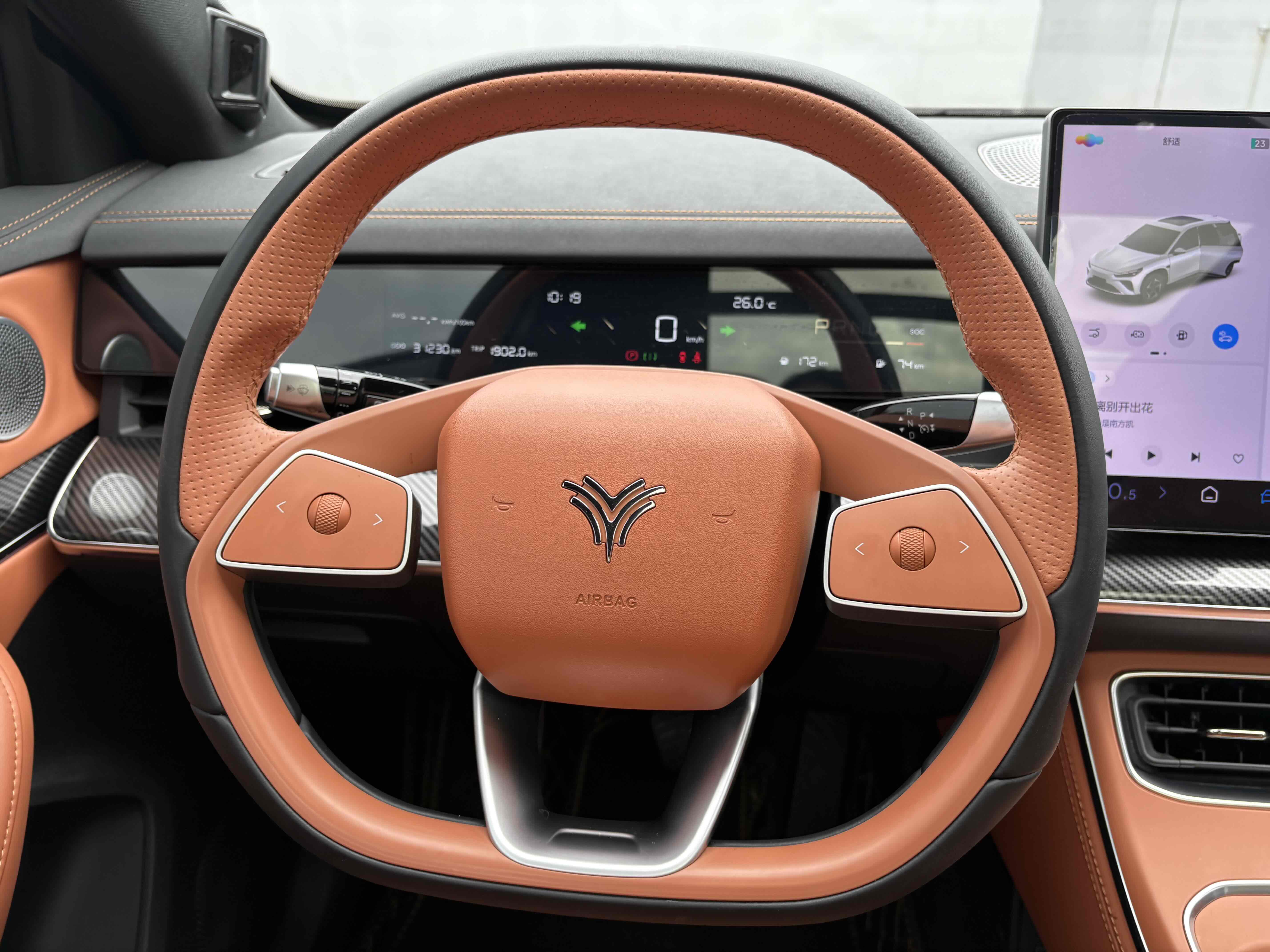 Neta L 2024 imagen de coche #7