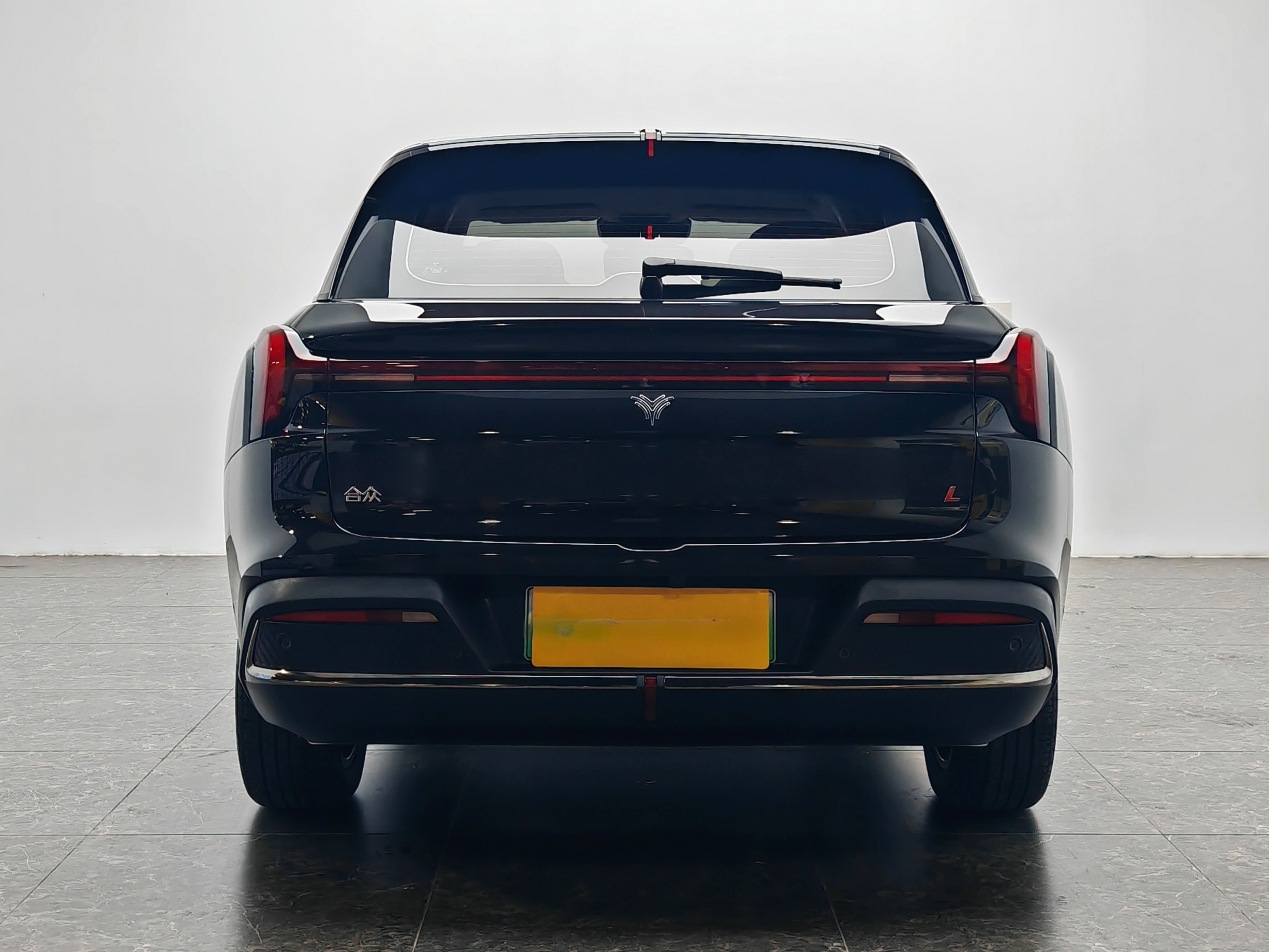 Neta L 2024 imagen de coche #7