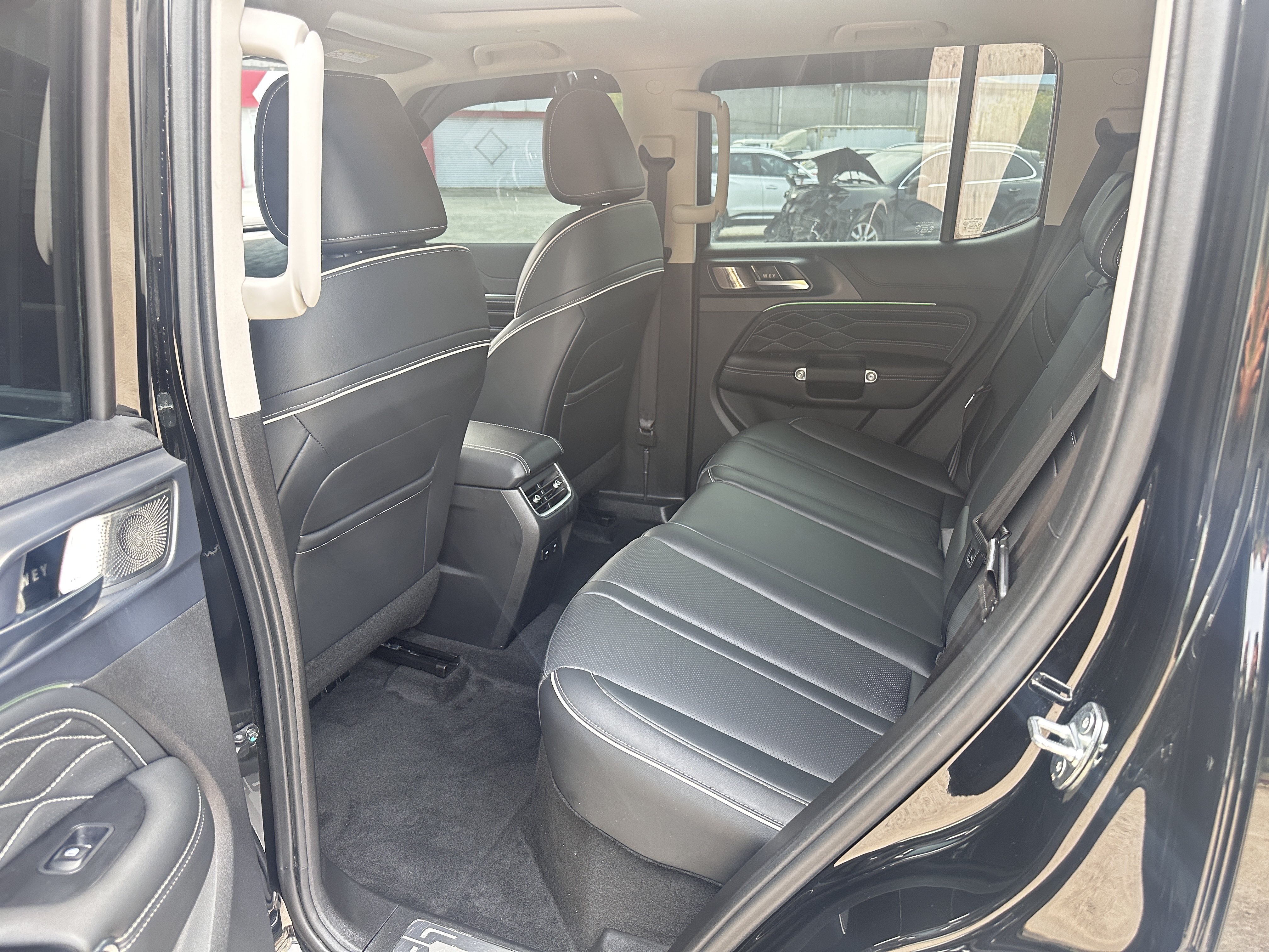 Tank 300 New Energy 2024 car image #7