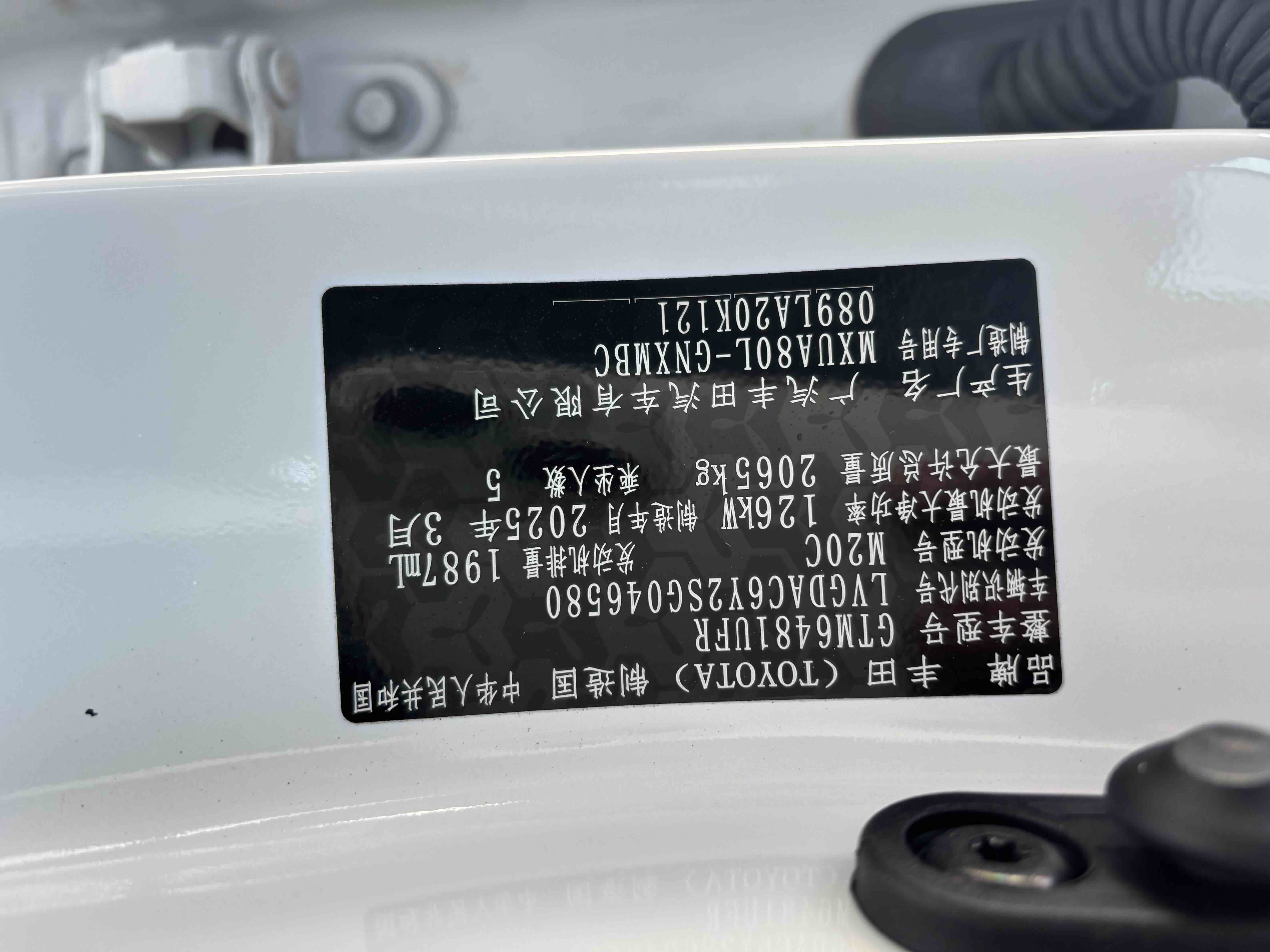 Toyota Venza 2025 immagine di auto #7