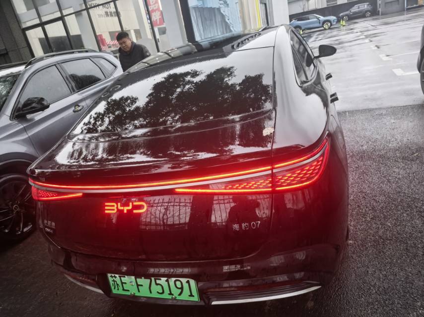 BYD Seal 07 DM-i 2024 car image #7