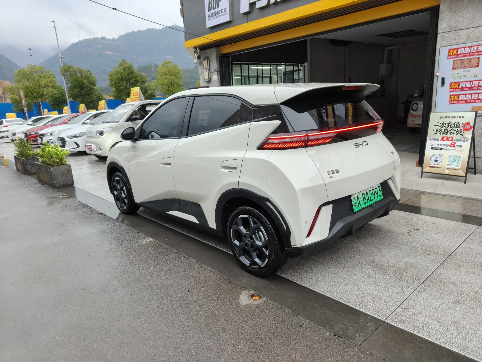 BYD Seagull 2025 immagine di auto #7