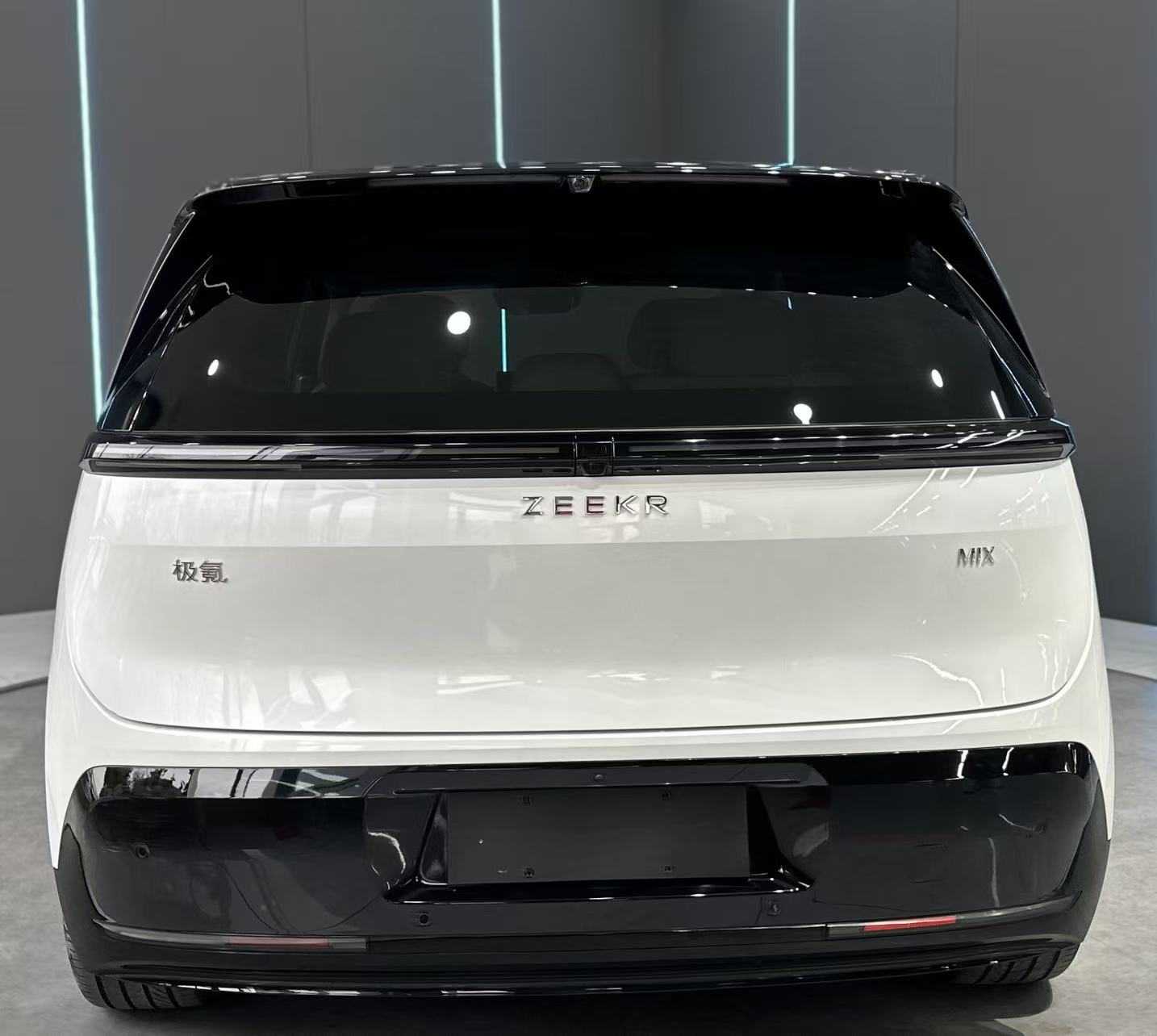 极氪 极氪MIX 2024 汽车图片 #7