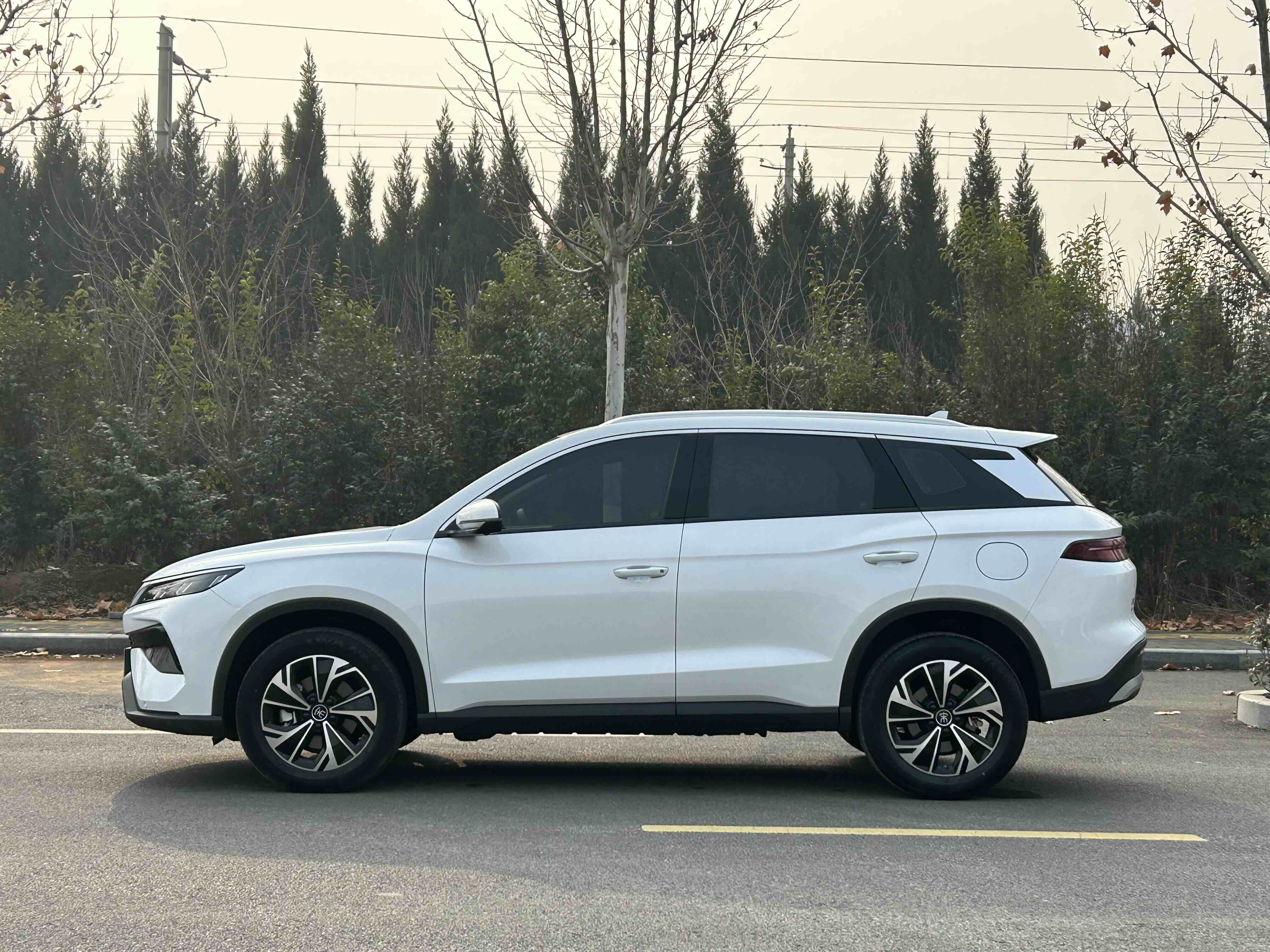 比亚迪 宋Pro新能源 2024 汽车图片 #7