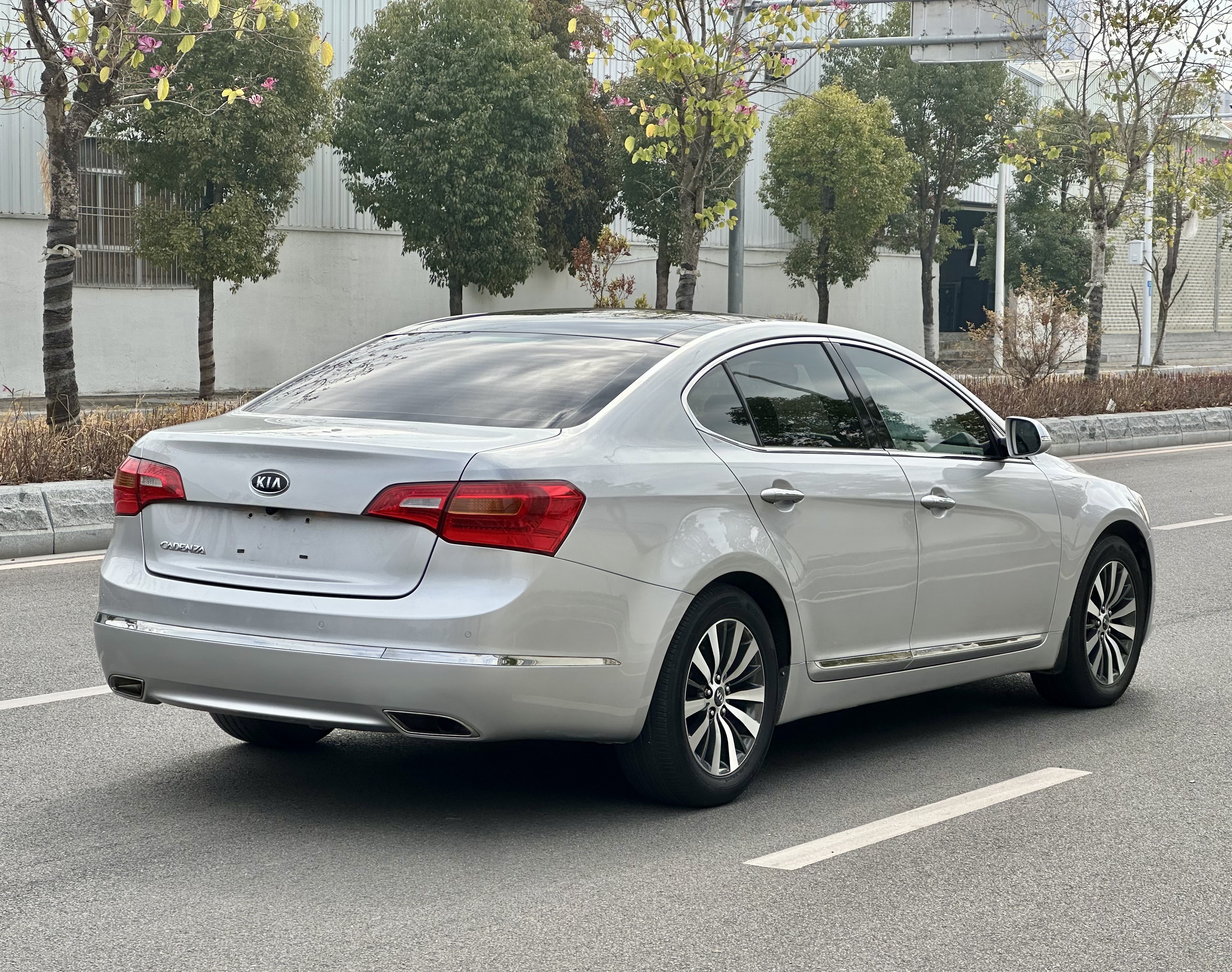 Kia Cadenza 2012 car image #7