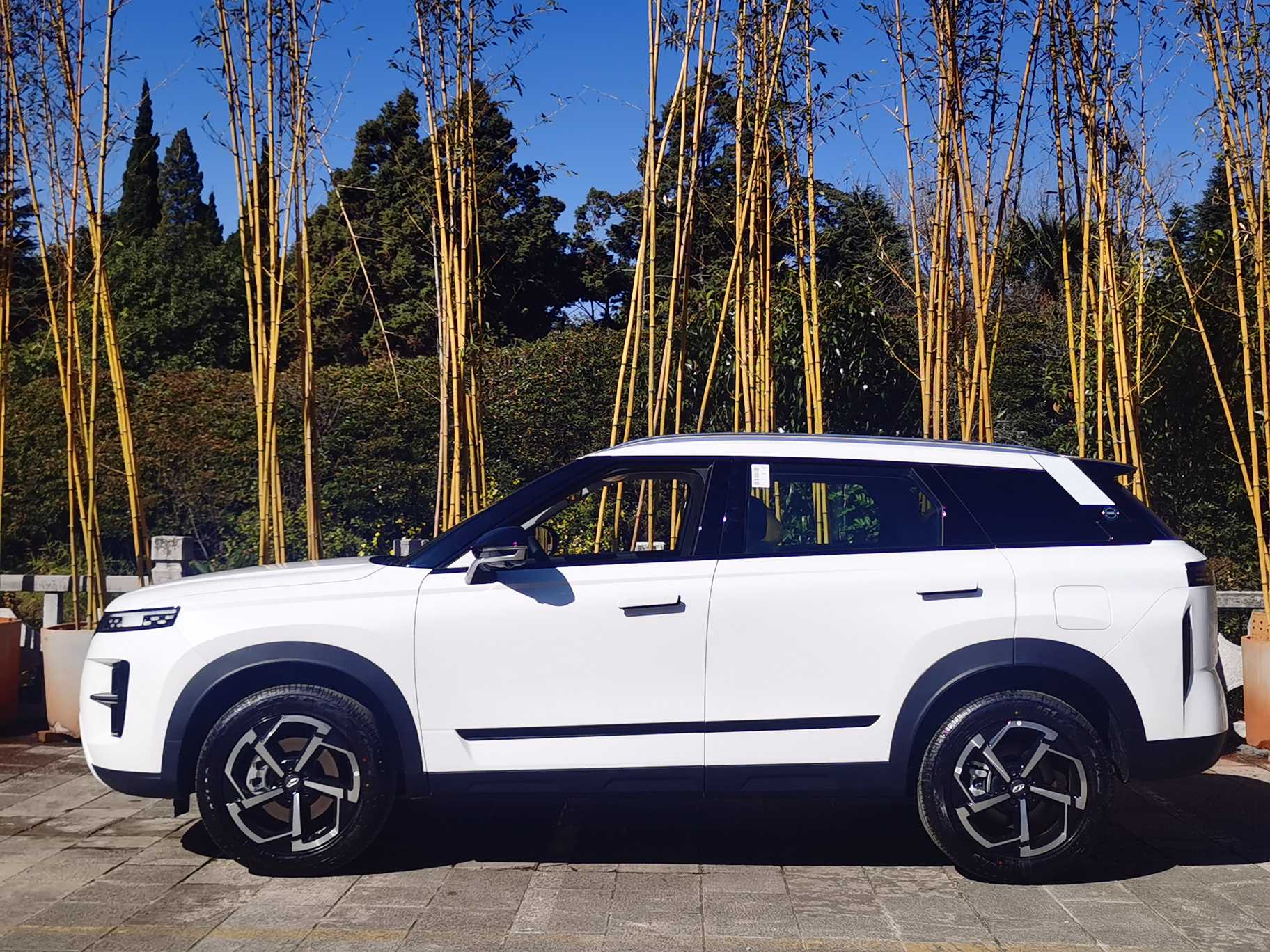 Chery Tiggo 7 2025 car image #7