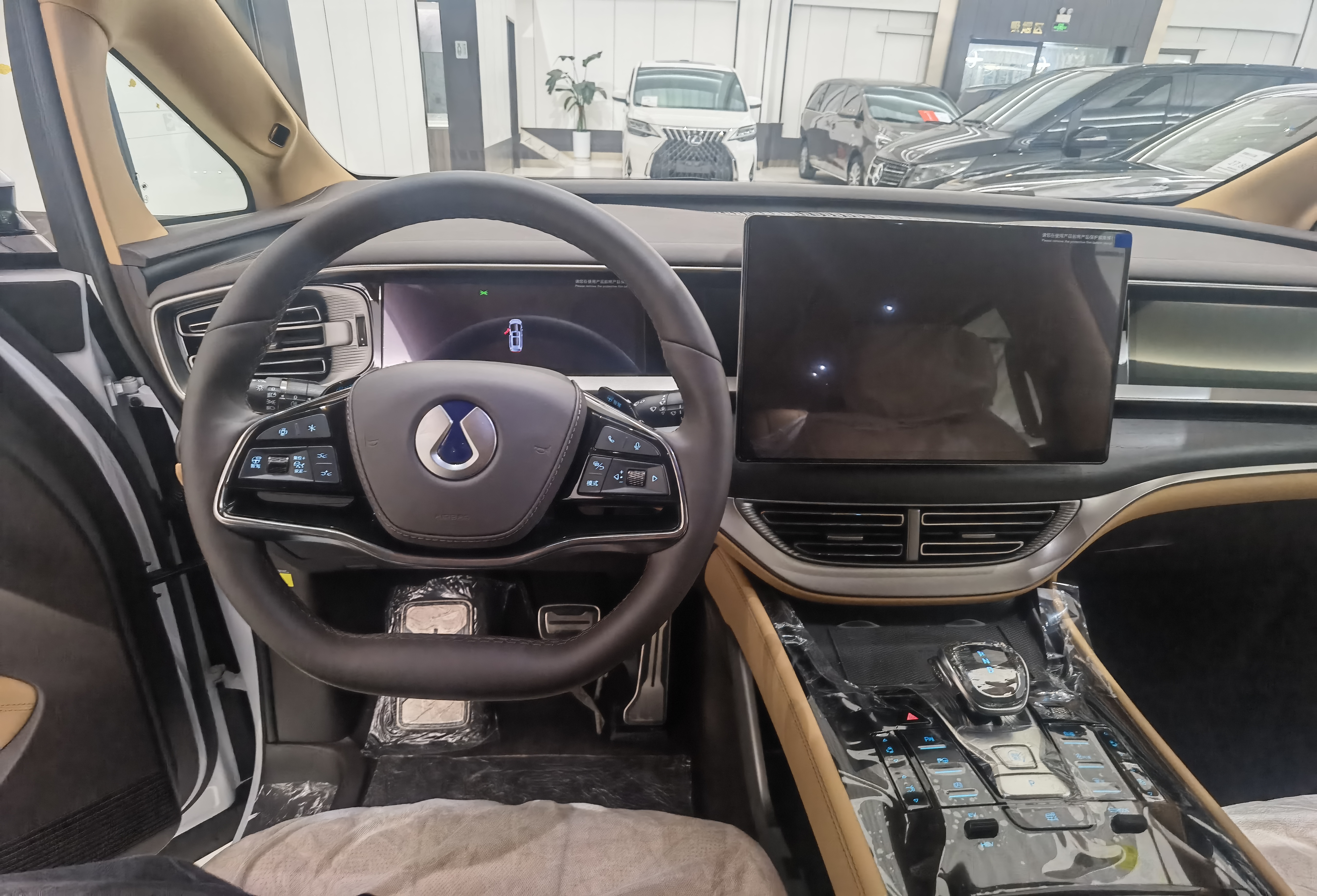 Denza D9 2025 imagen de coche #7