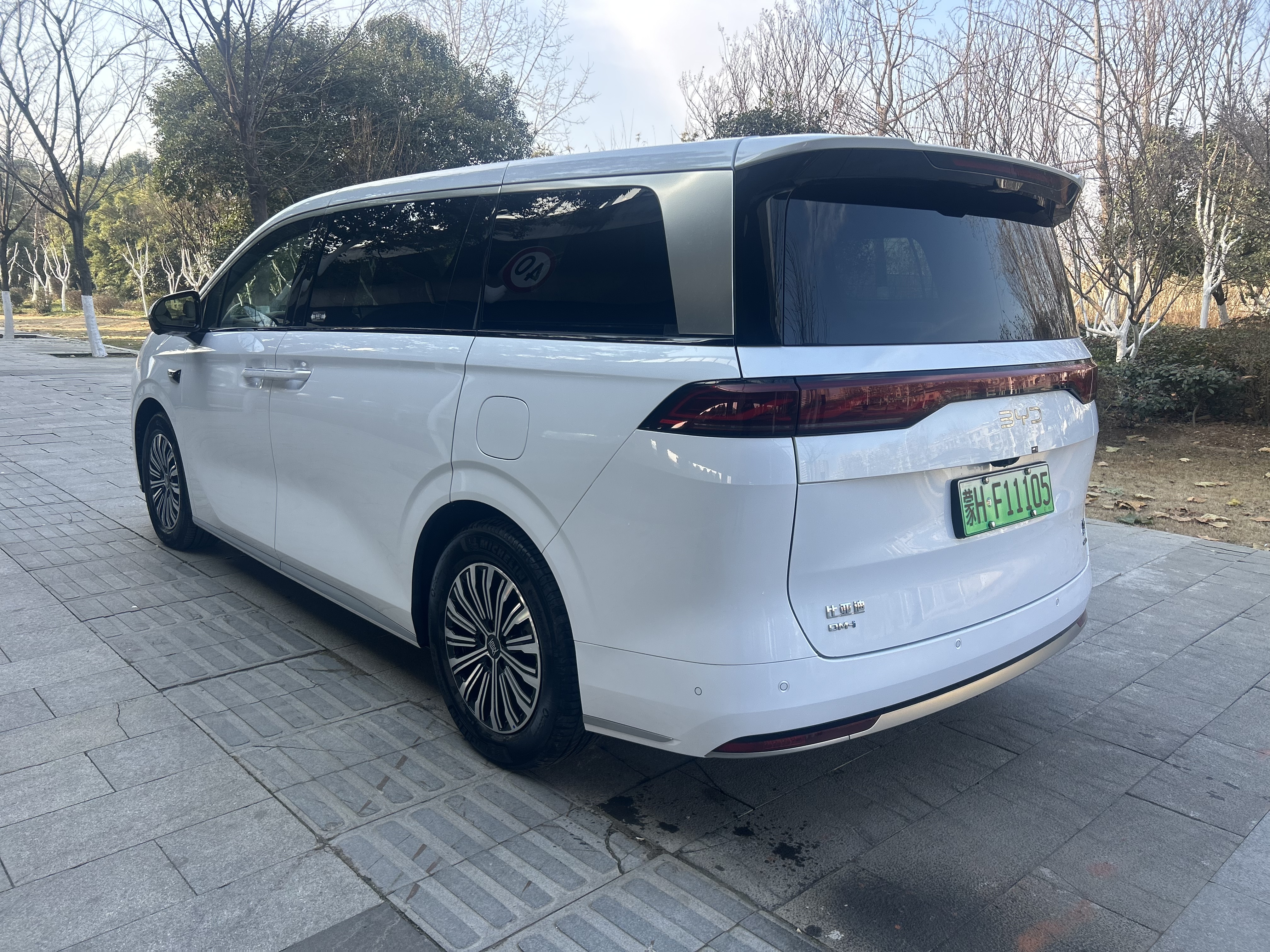 BYD Xia 2025 imagen de coche #7