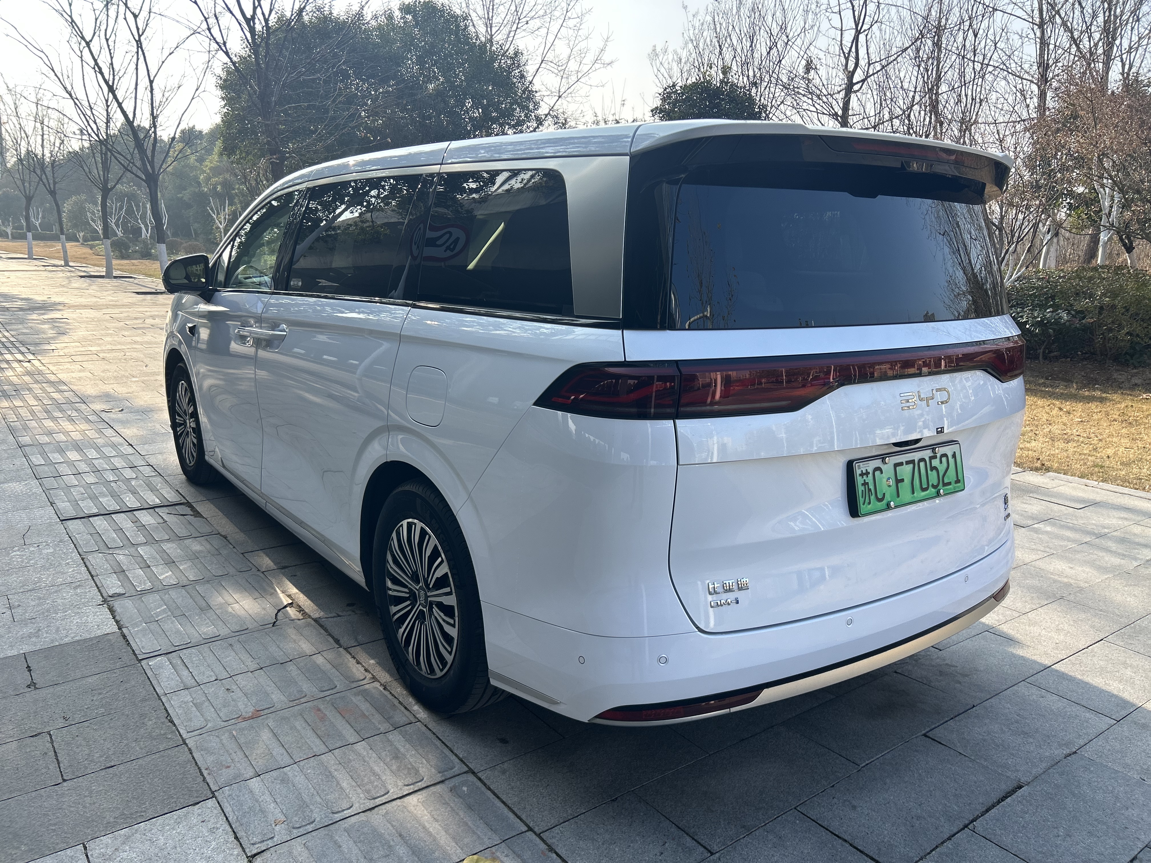 BYD Xia 2025 imagen de coche #7