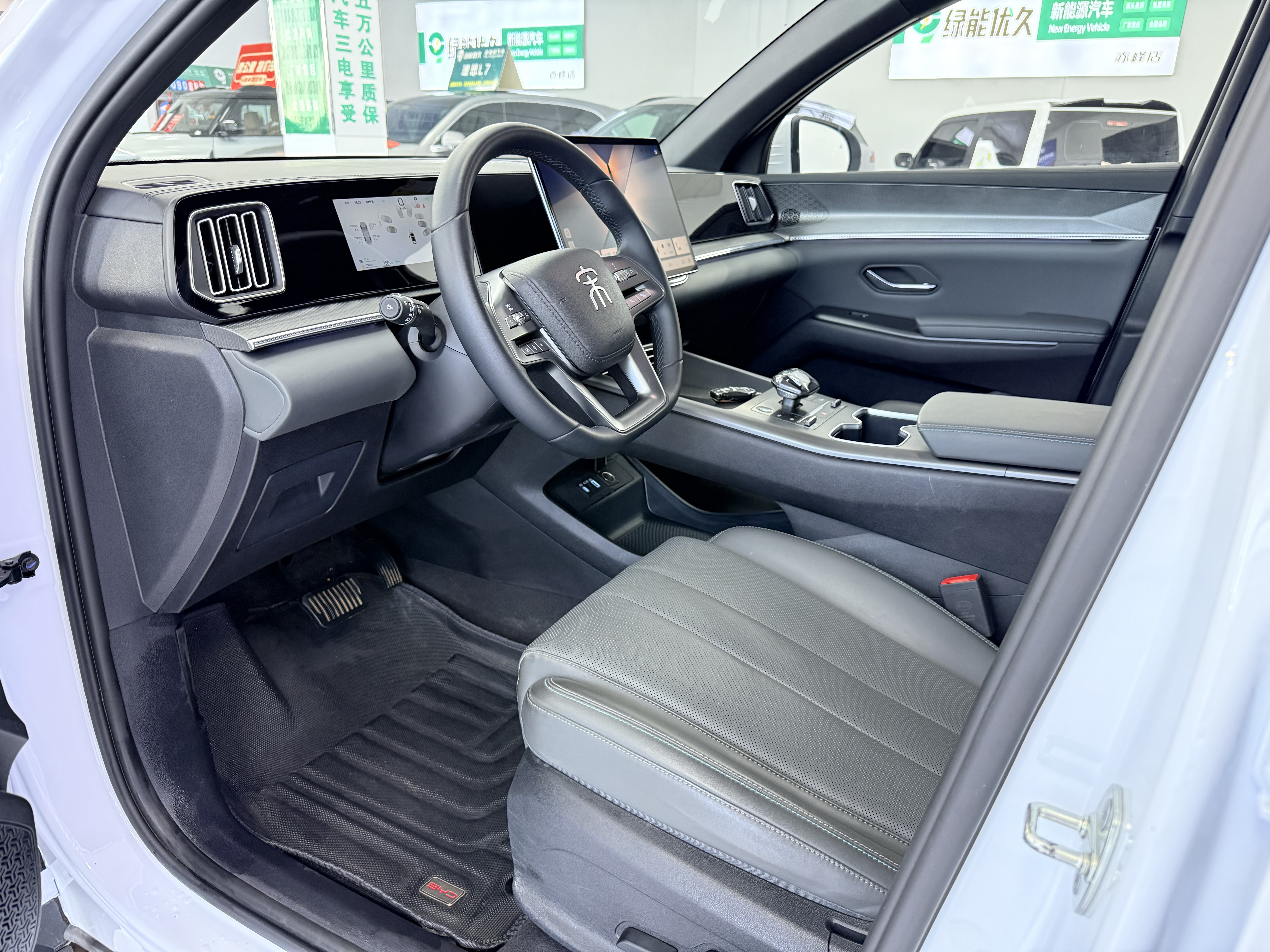 BYD Song Pro New Energy 2025 car image #7