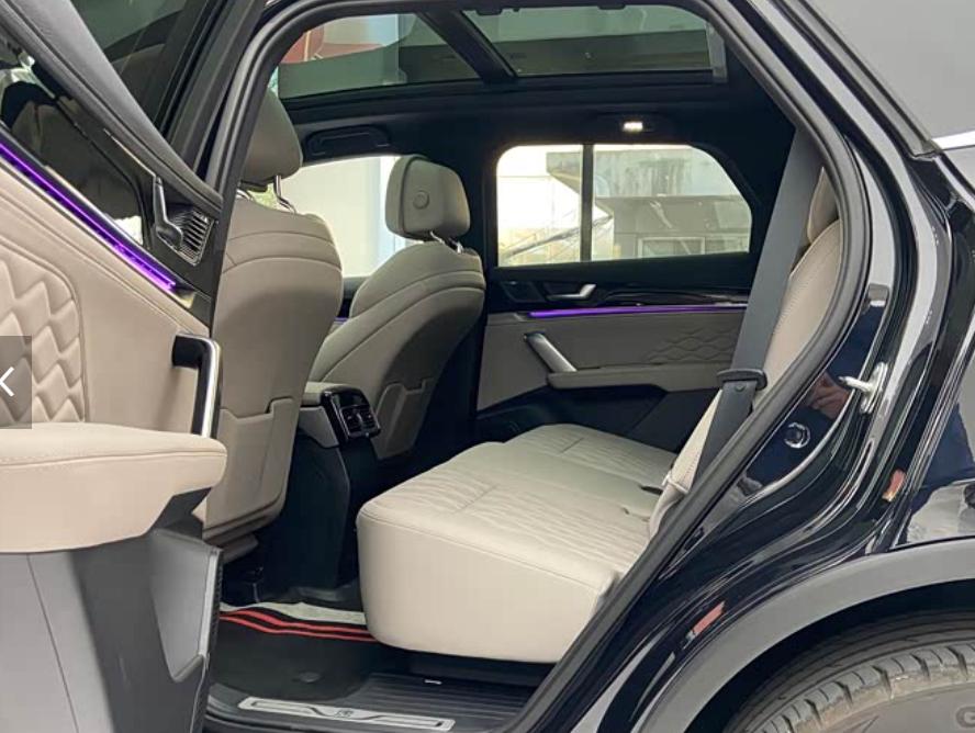 BYD Tang New Energy 2025 car image #7