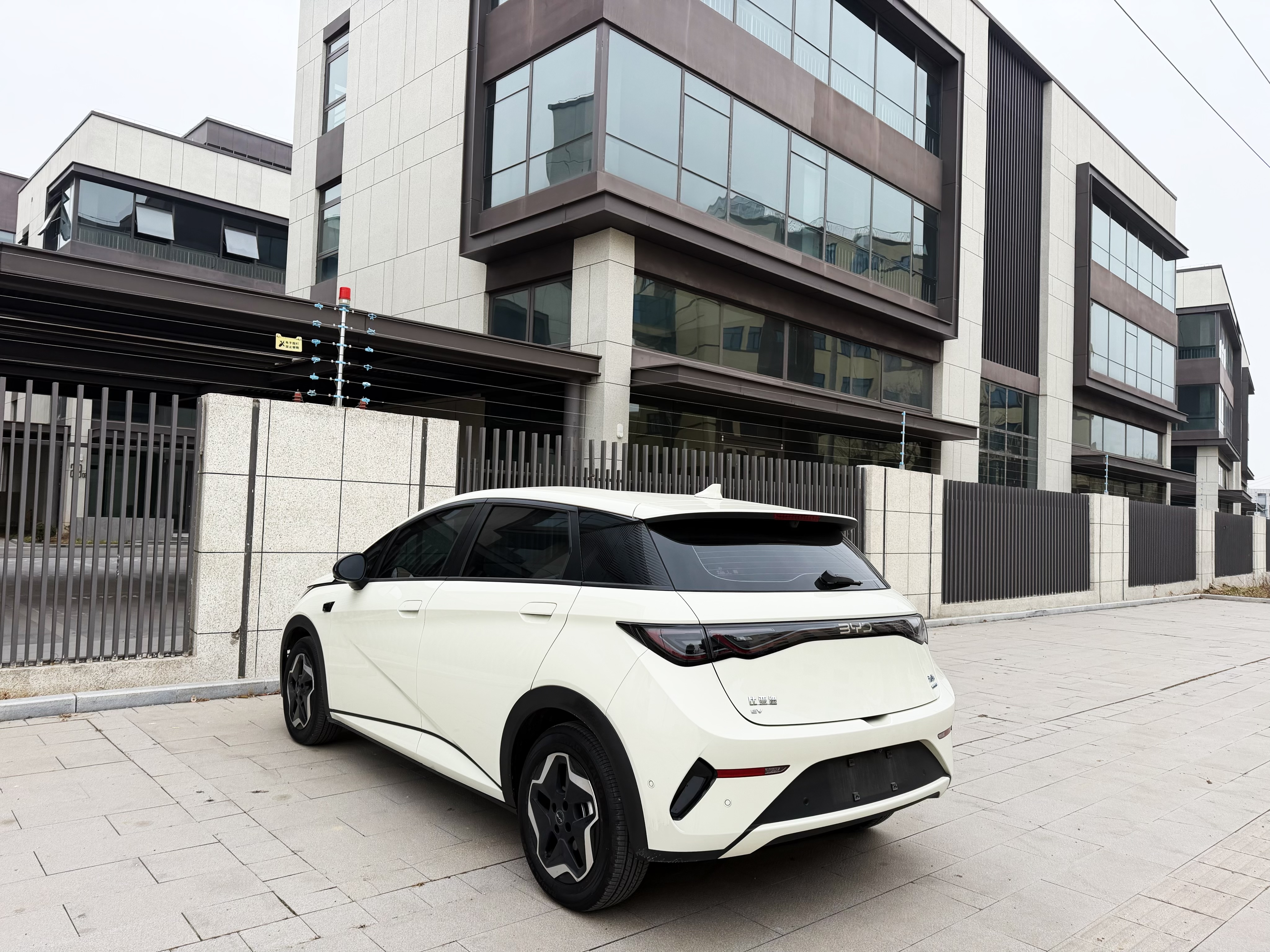 BYD Dolphin 2025 car image #7