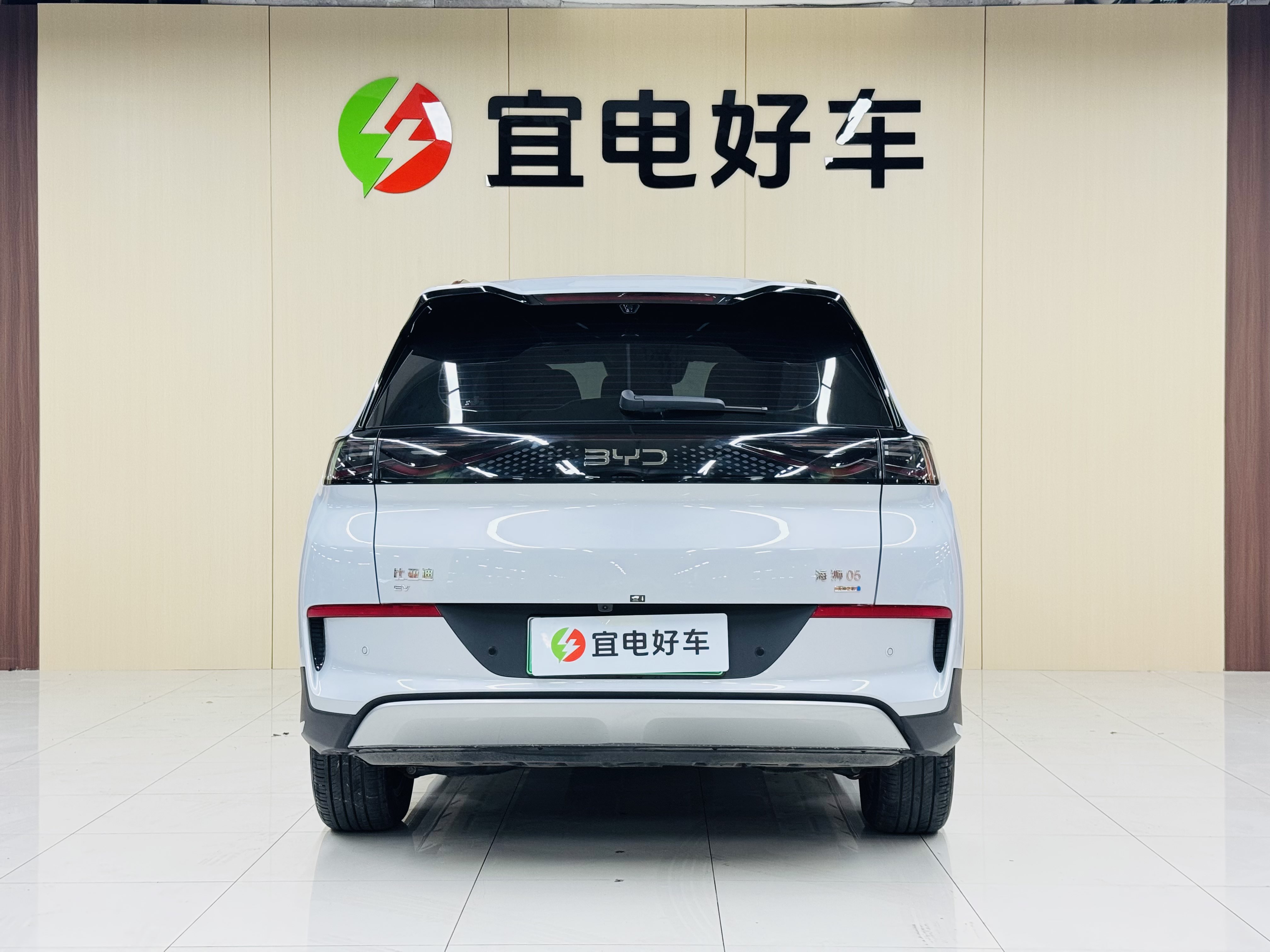 BYD Sea Lion 05 EV 2025 car image #7