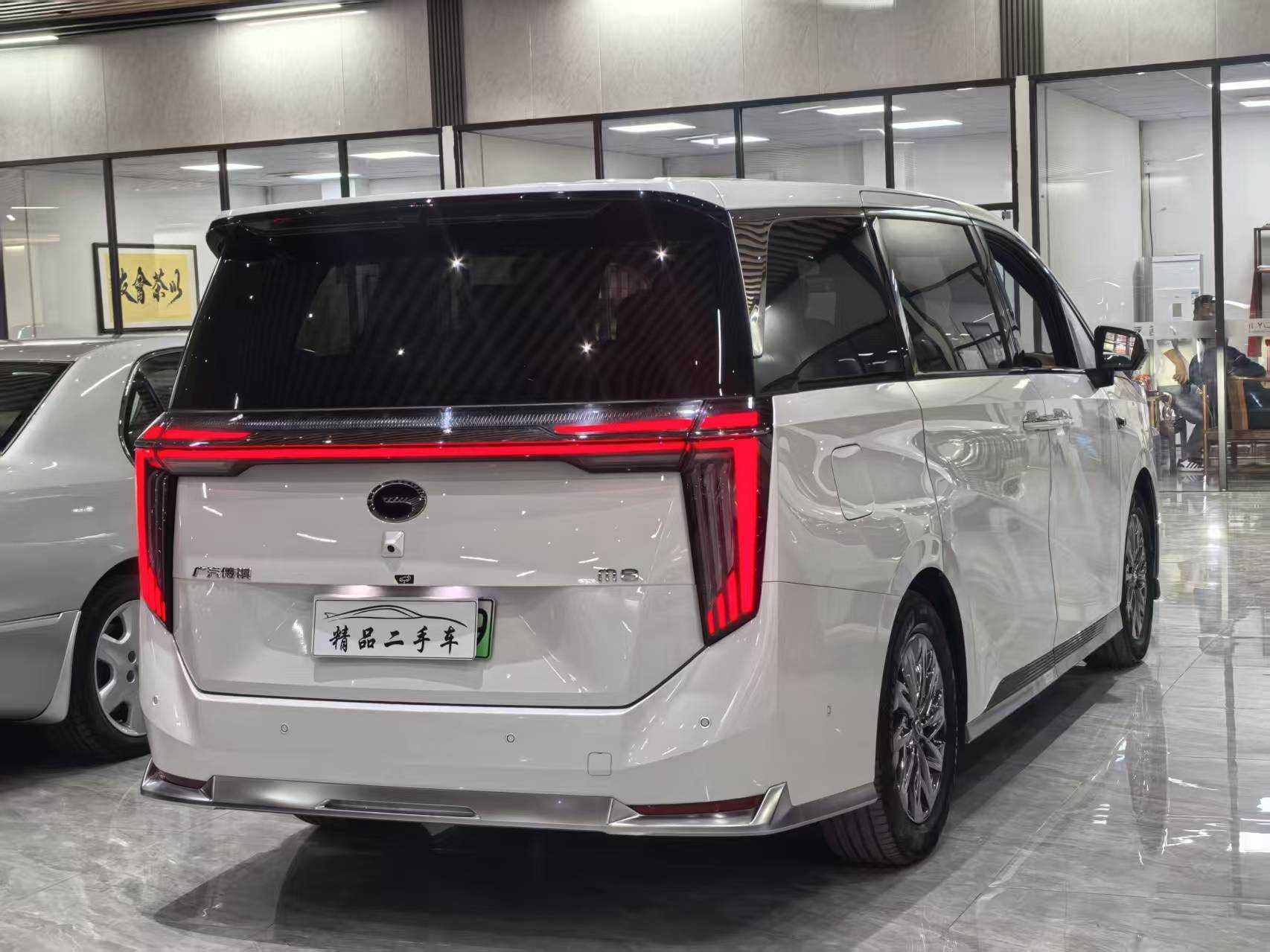 GAC Trumpchi Xiangwang M8 2025 car image #7