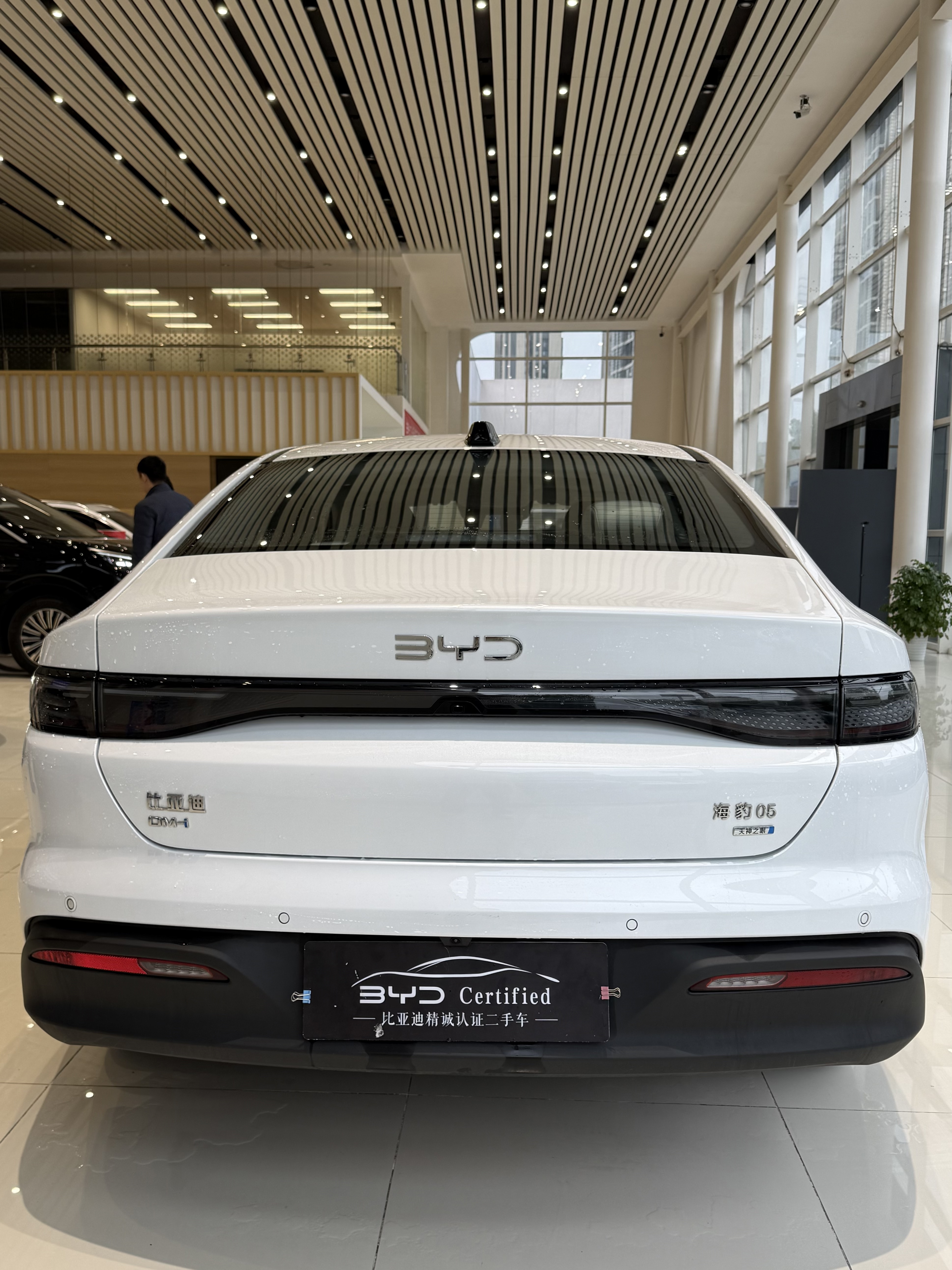 BYD Seal 05 DM-i 2025 car image #7