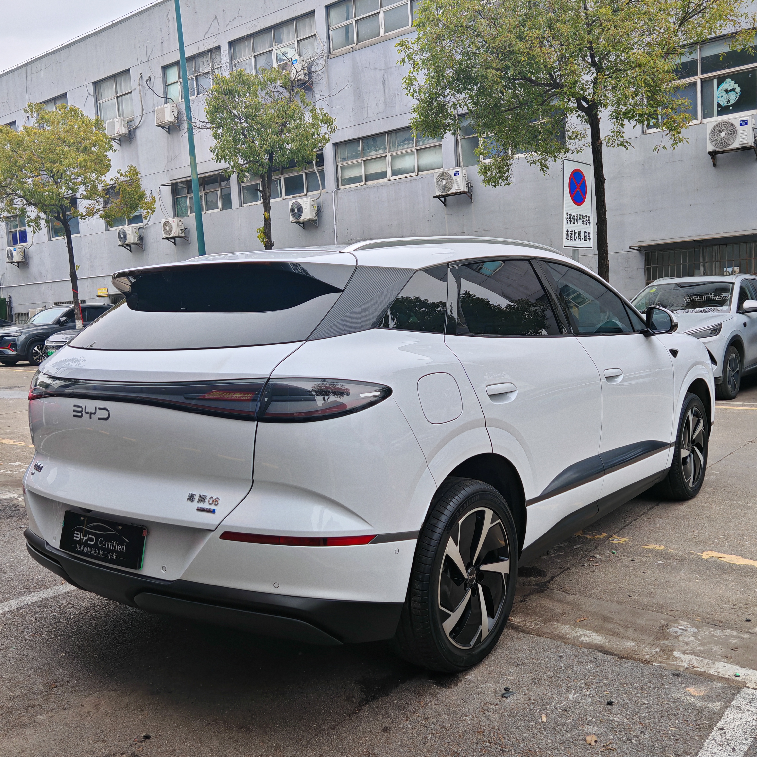 BYD Sea Lion 06 New Energy 2025 car image #7