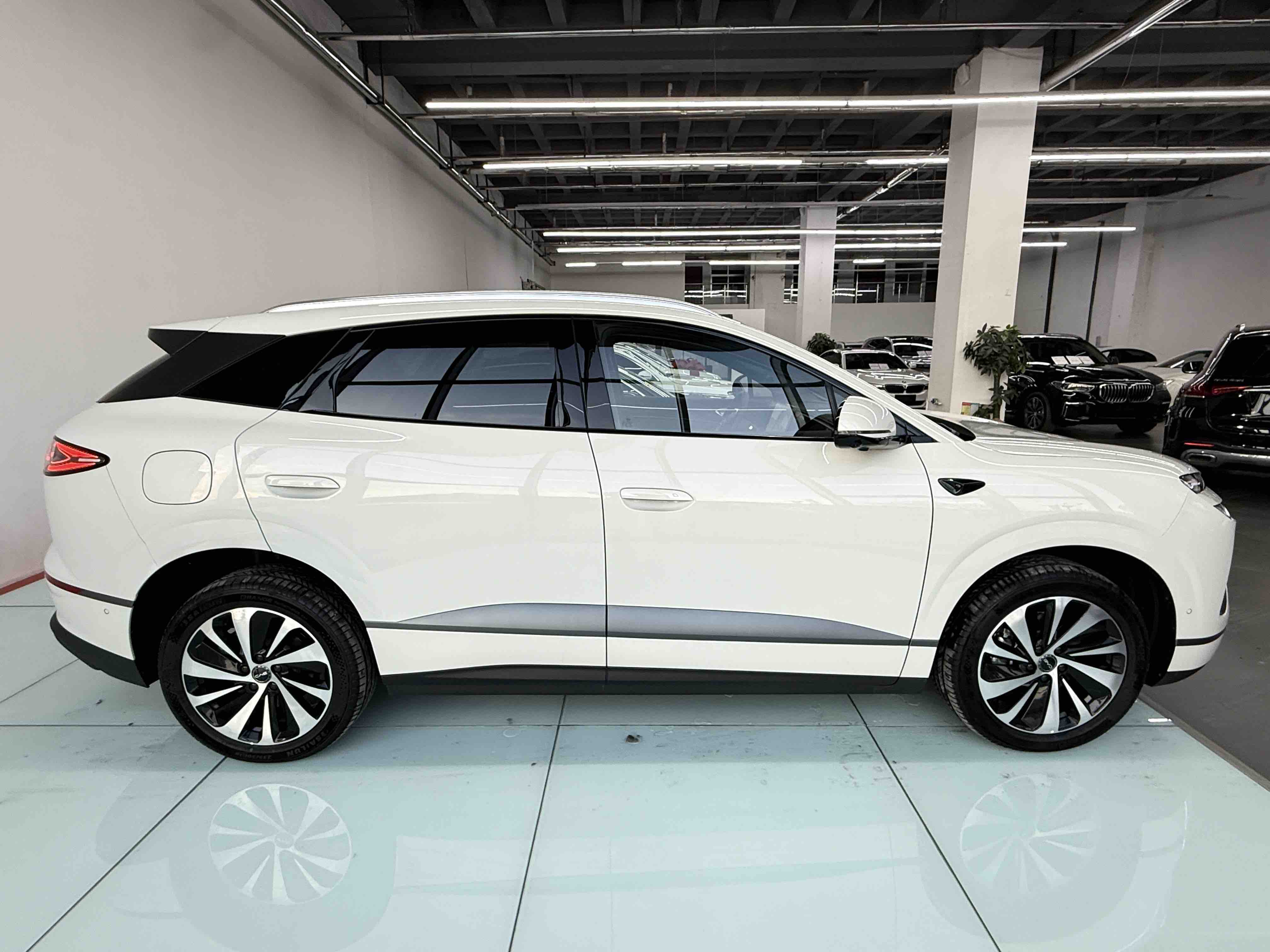 BYD Sea Lion 06 New Energy 2025 car image #7