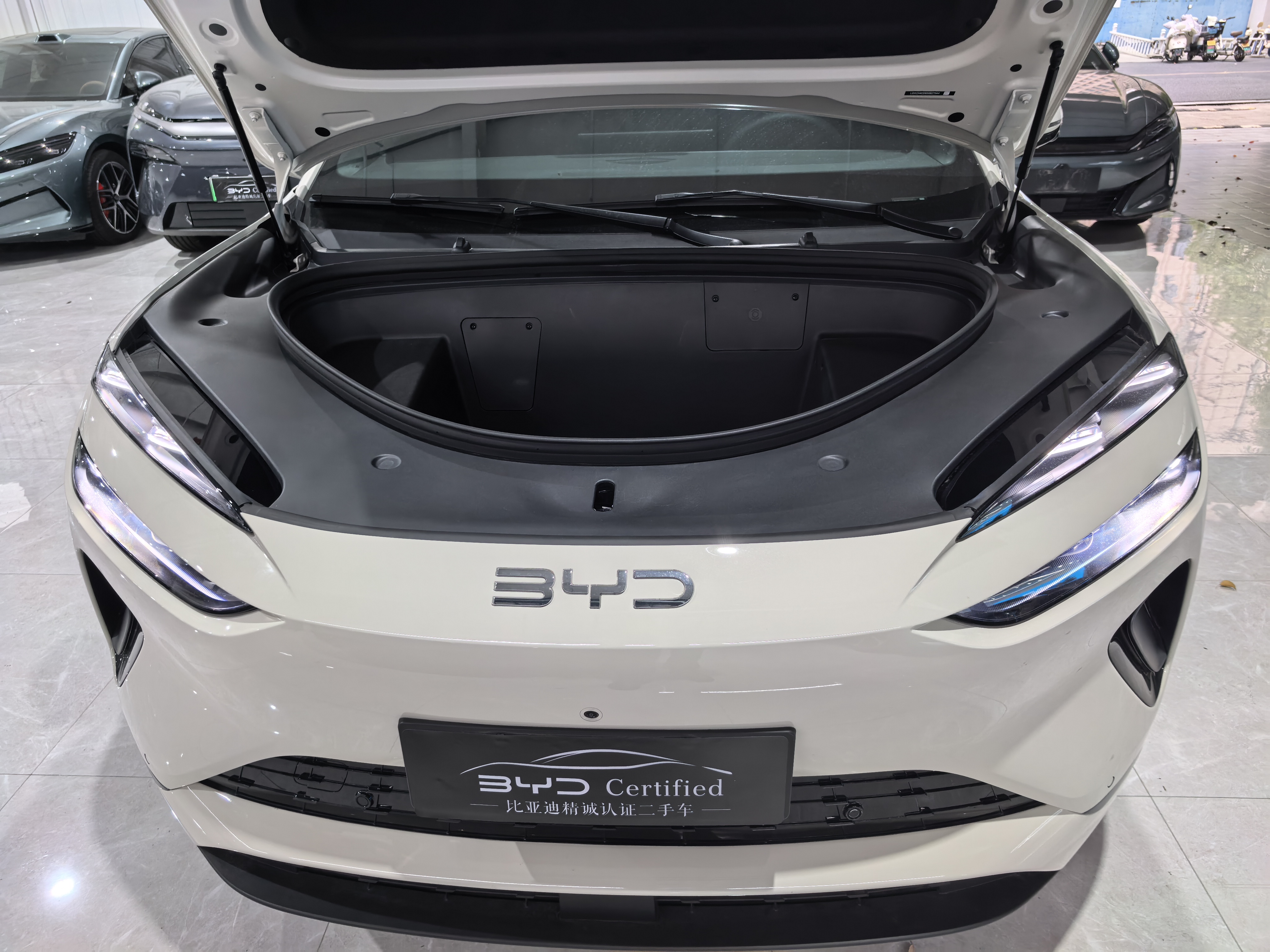 BYD Sea Lion 06 New Energy 2025 car image #7