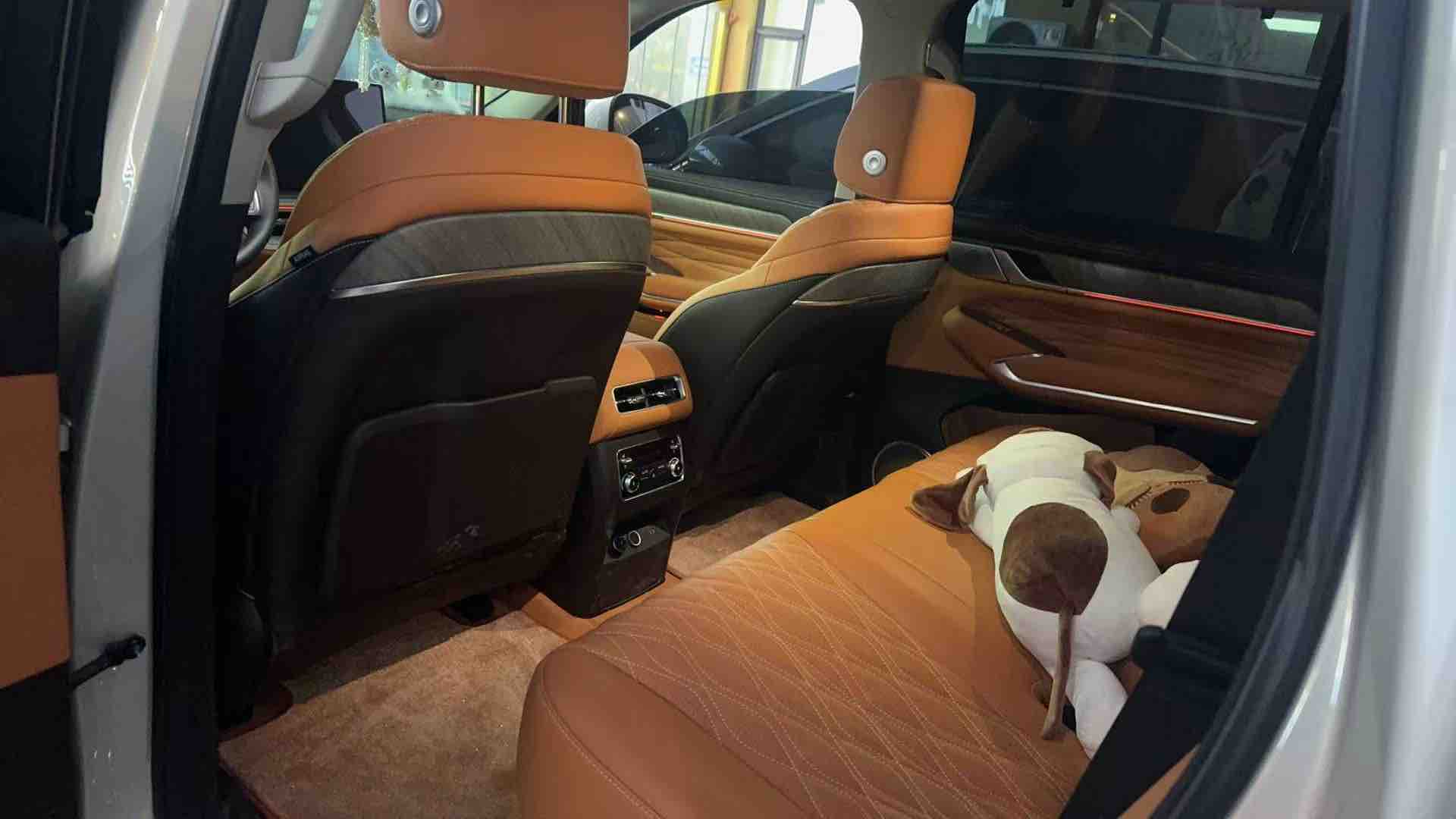 Tank 500 New Energy 2025 car image #7