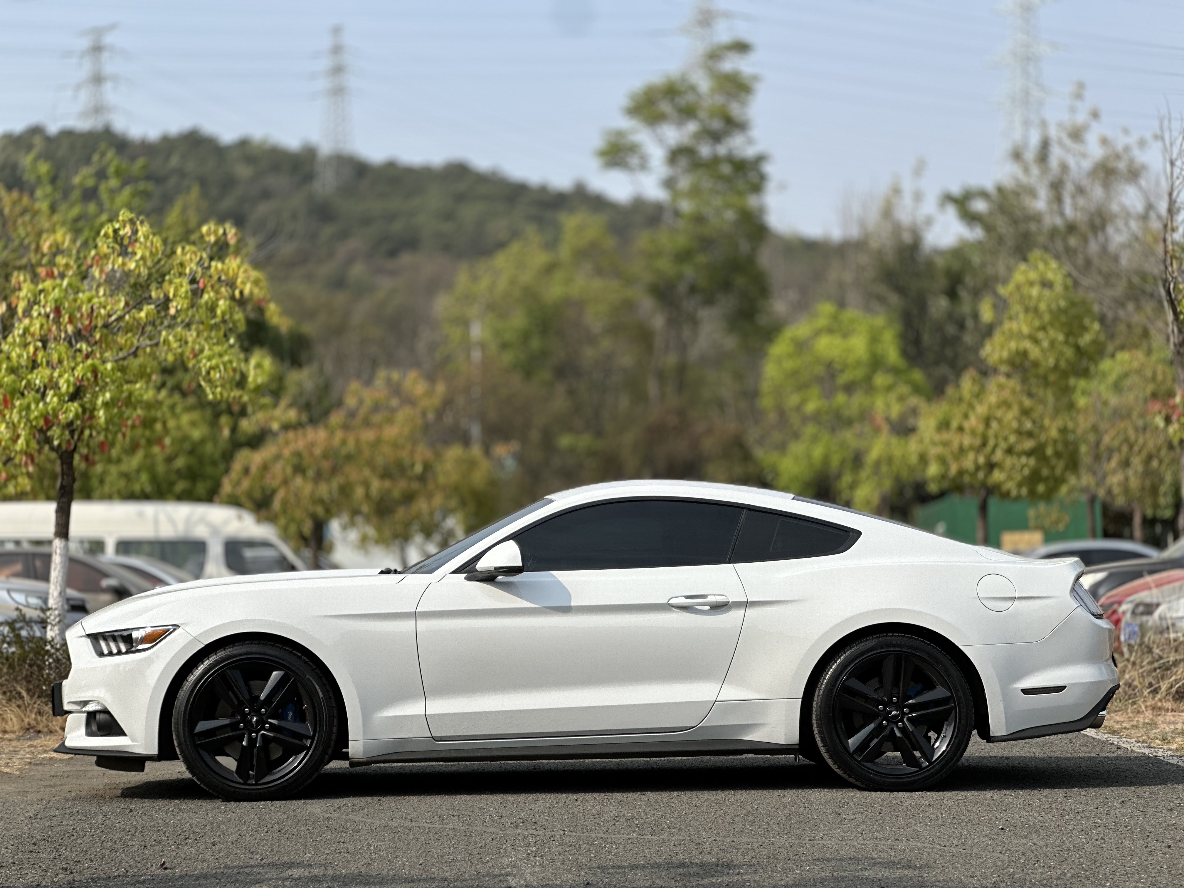 Ford Mustang 2015 car image #7