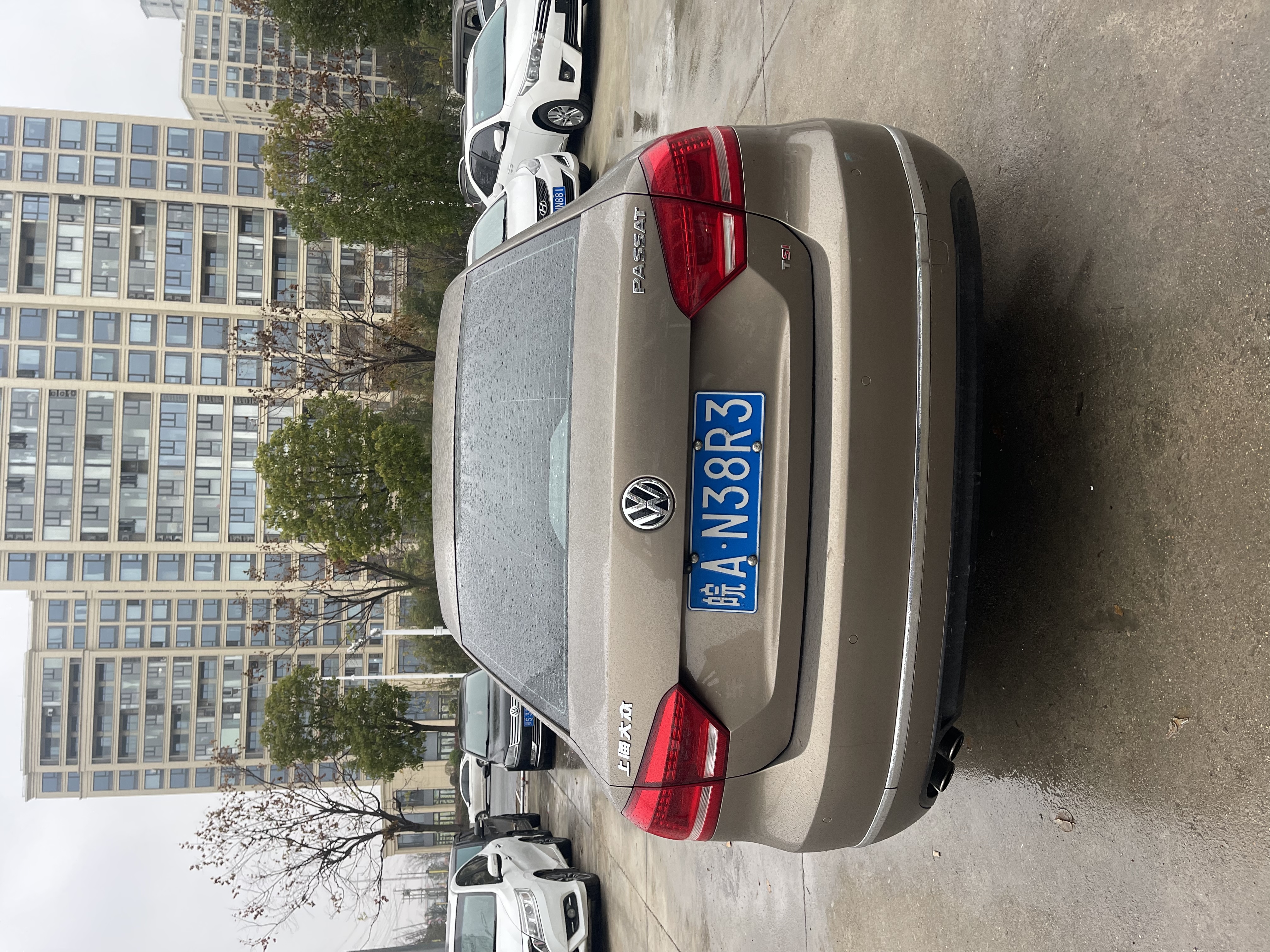 Volkswagen Passat 2014 immagine di auto #7