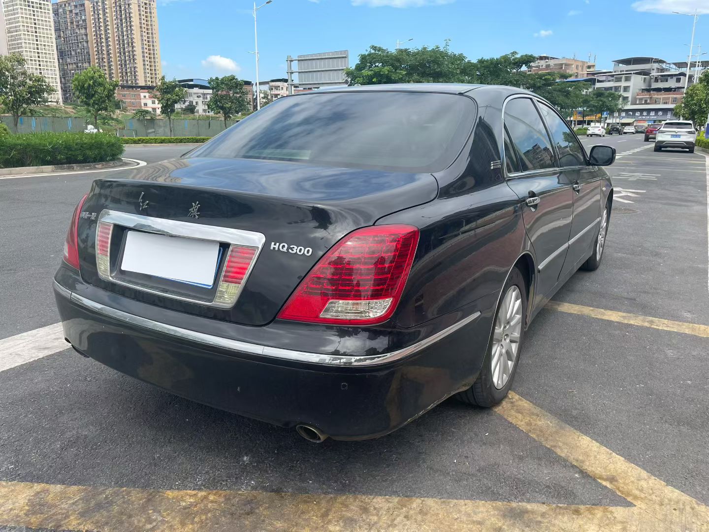 HongQi ShengShi 2008 صورة سيارة #7