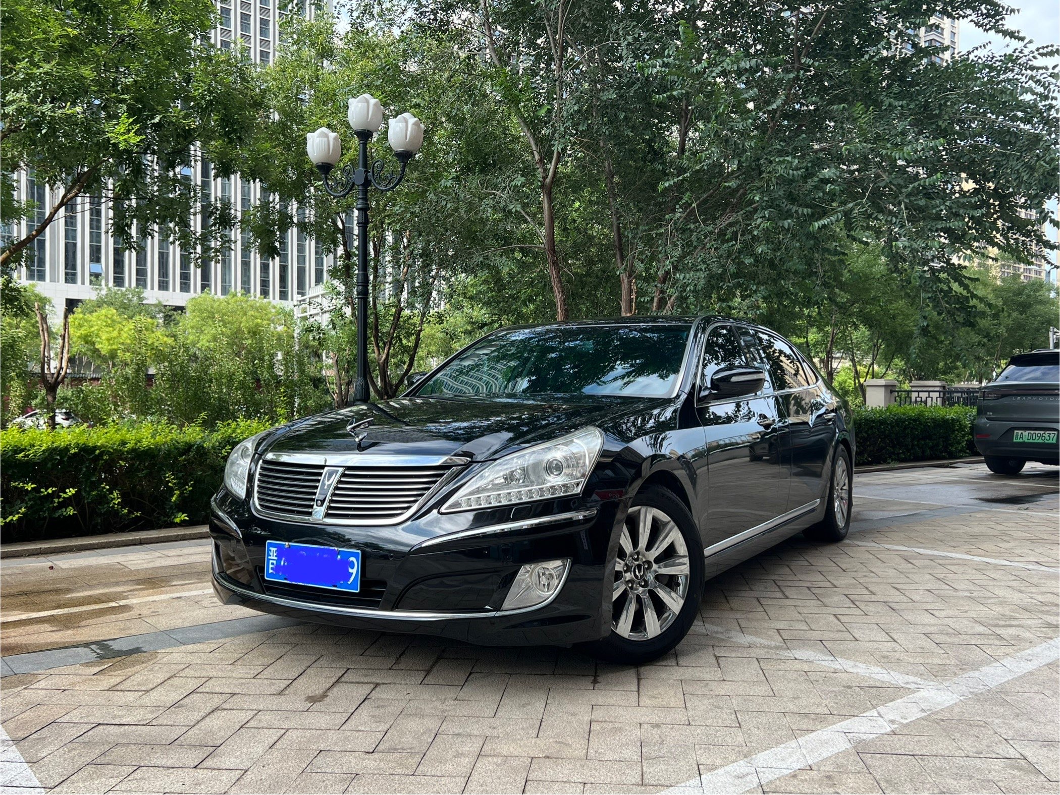 Hyundai Equus 2012 #7 Hyundai Equus 2012 immagine di auto #7