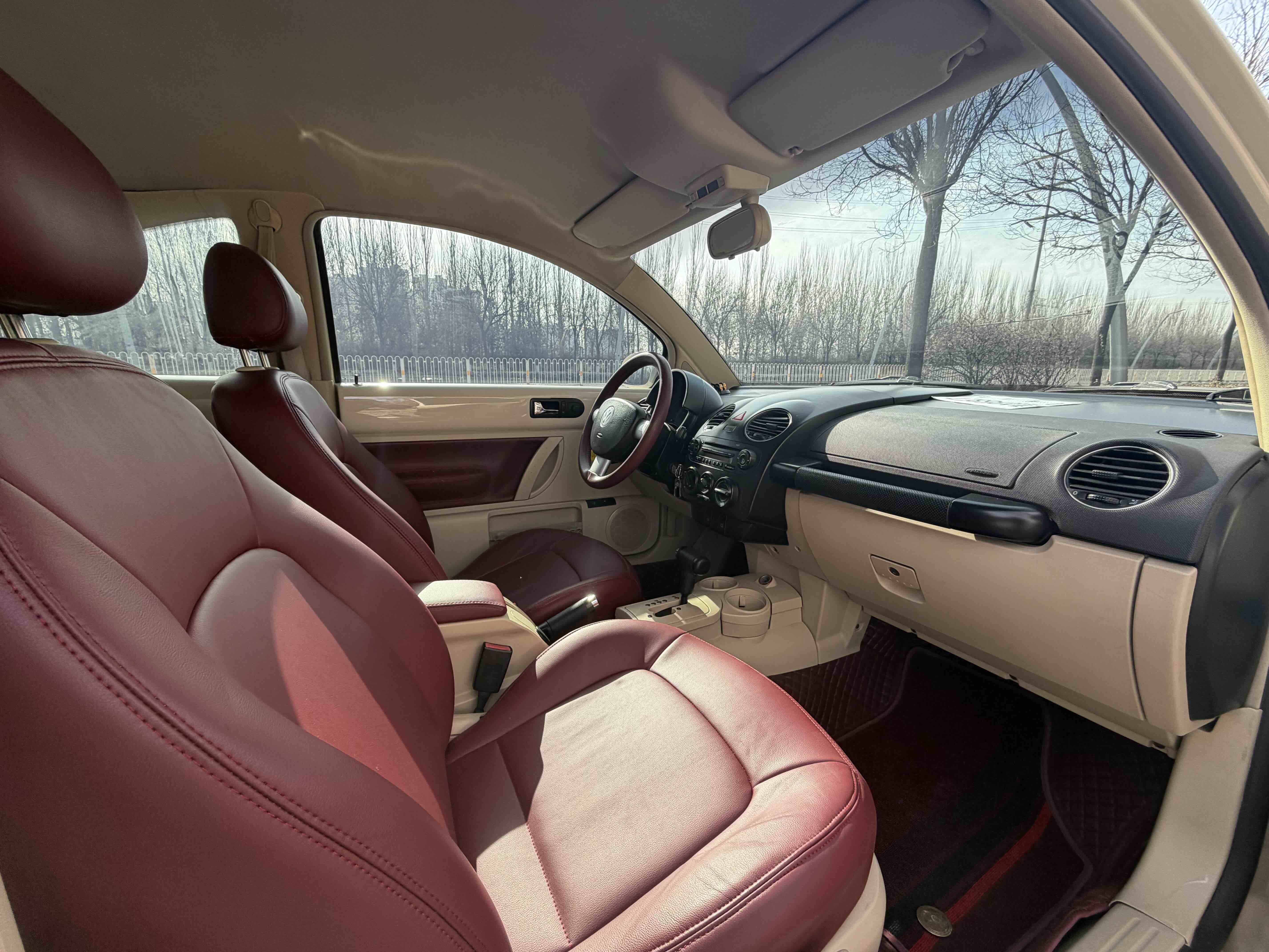 Volkswagen Beetle 2010 immagine di auto #7