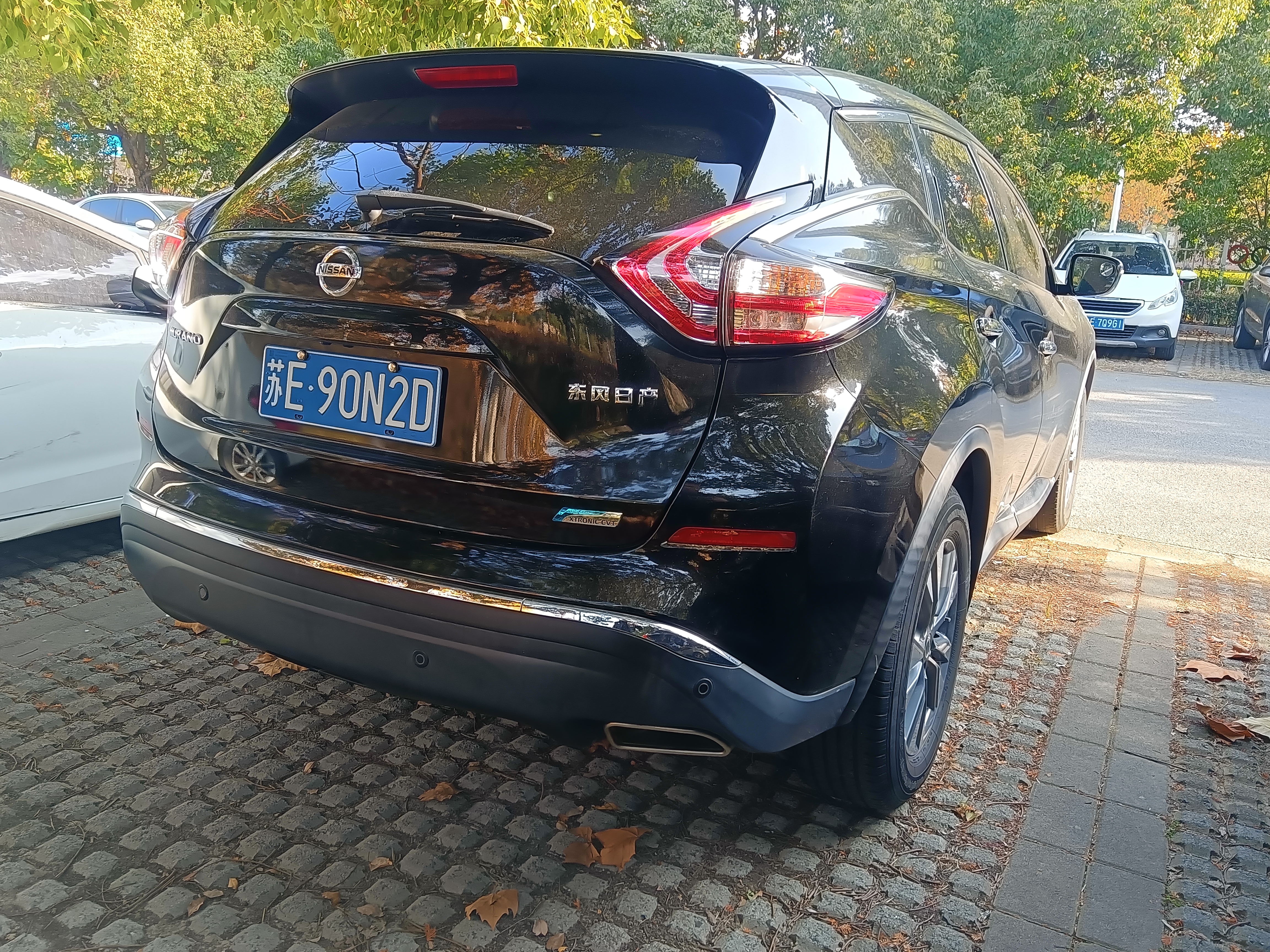 日产 楼兰 2017 汽车图片 #7