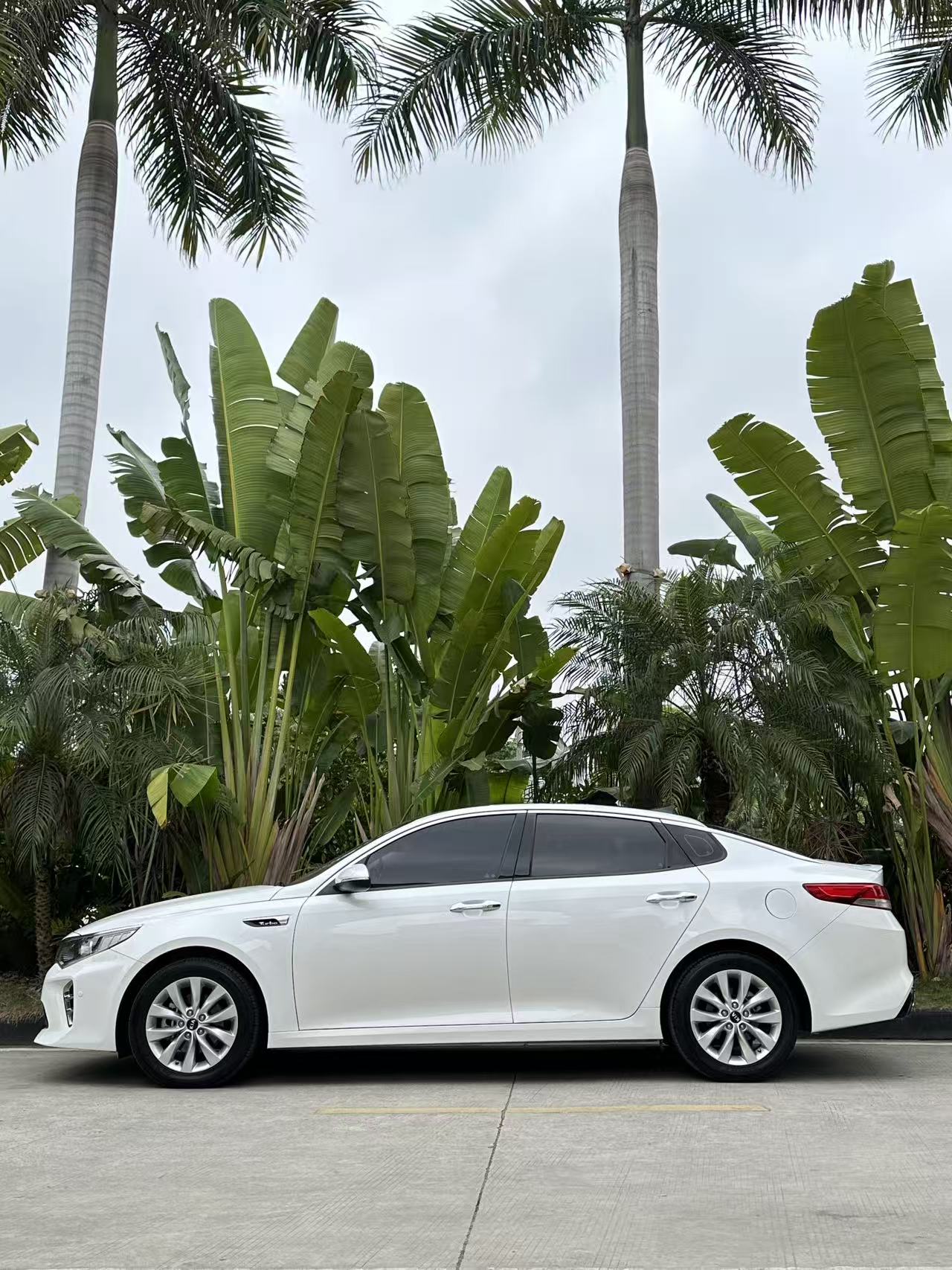 起亚 起亚K5 2016 汽车图片 #7