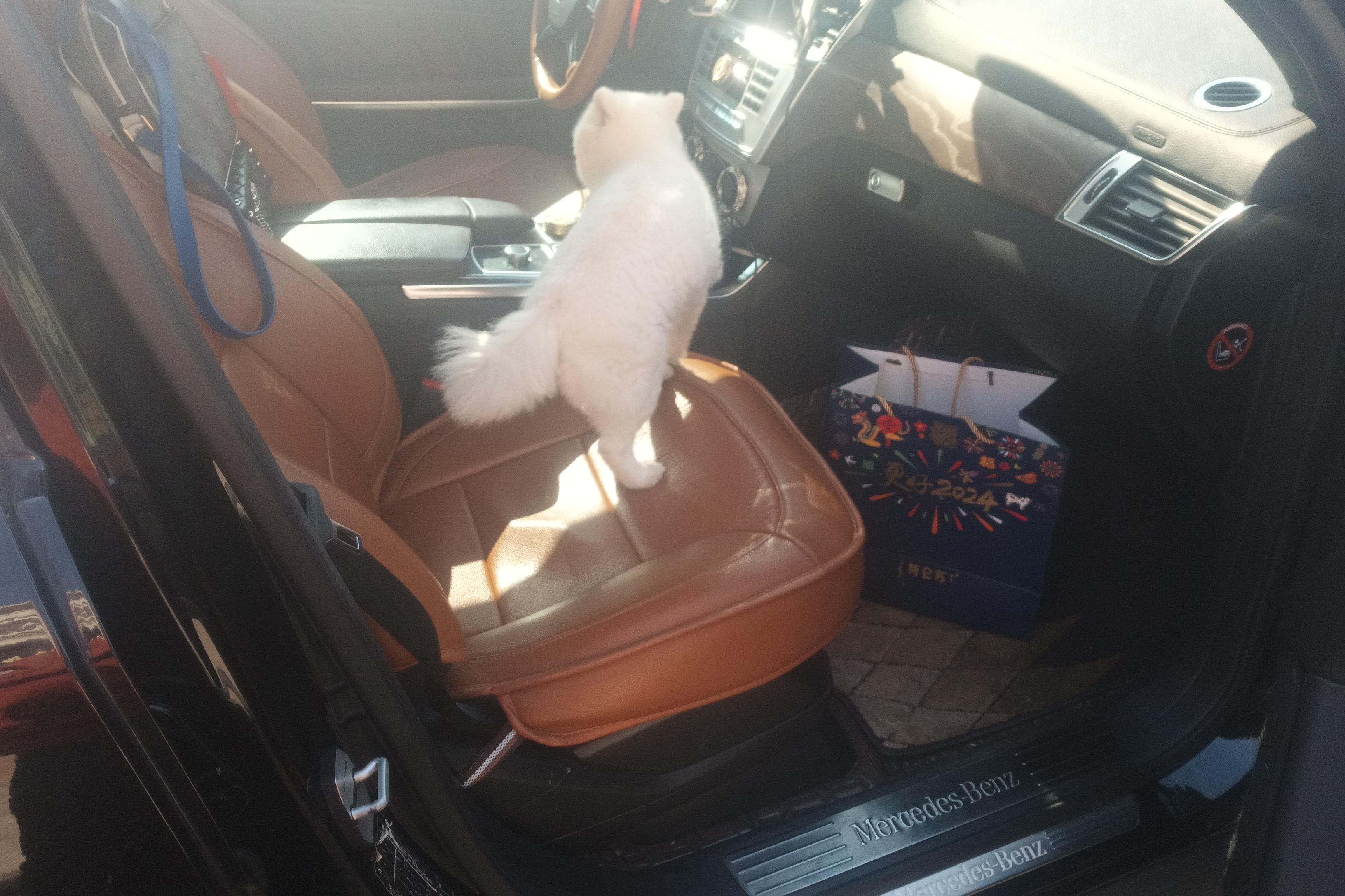 Mercedes-Benz GL Class 2017 #7 Mercedes-Benz GL Class 2017 car image #7