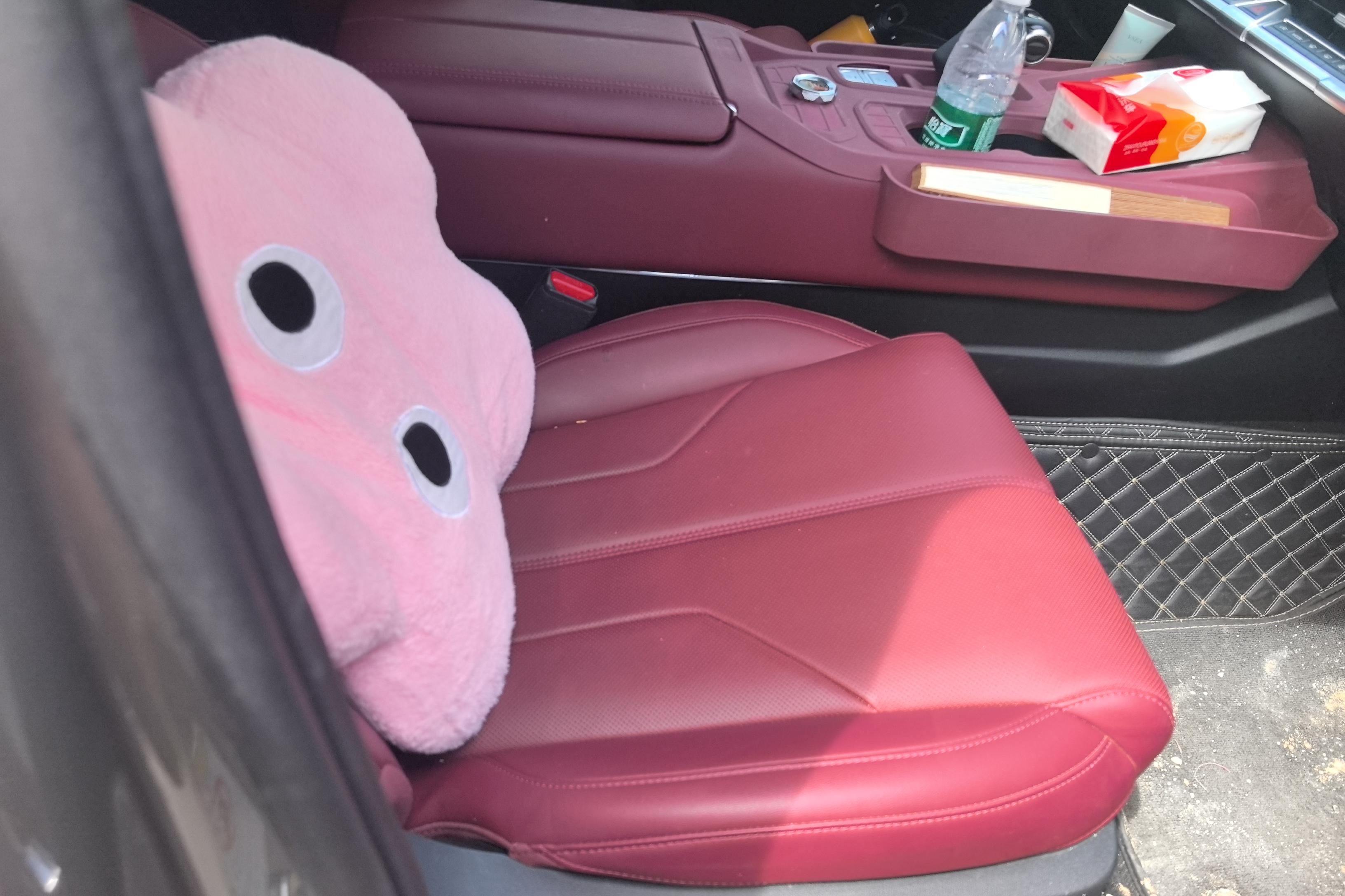 Tank 400 2024 car image #7