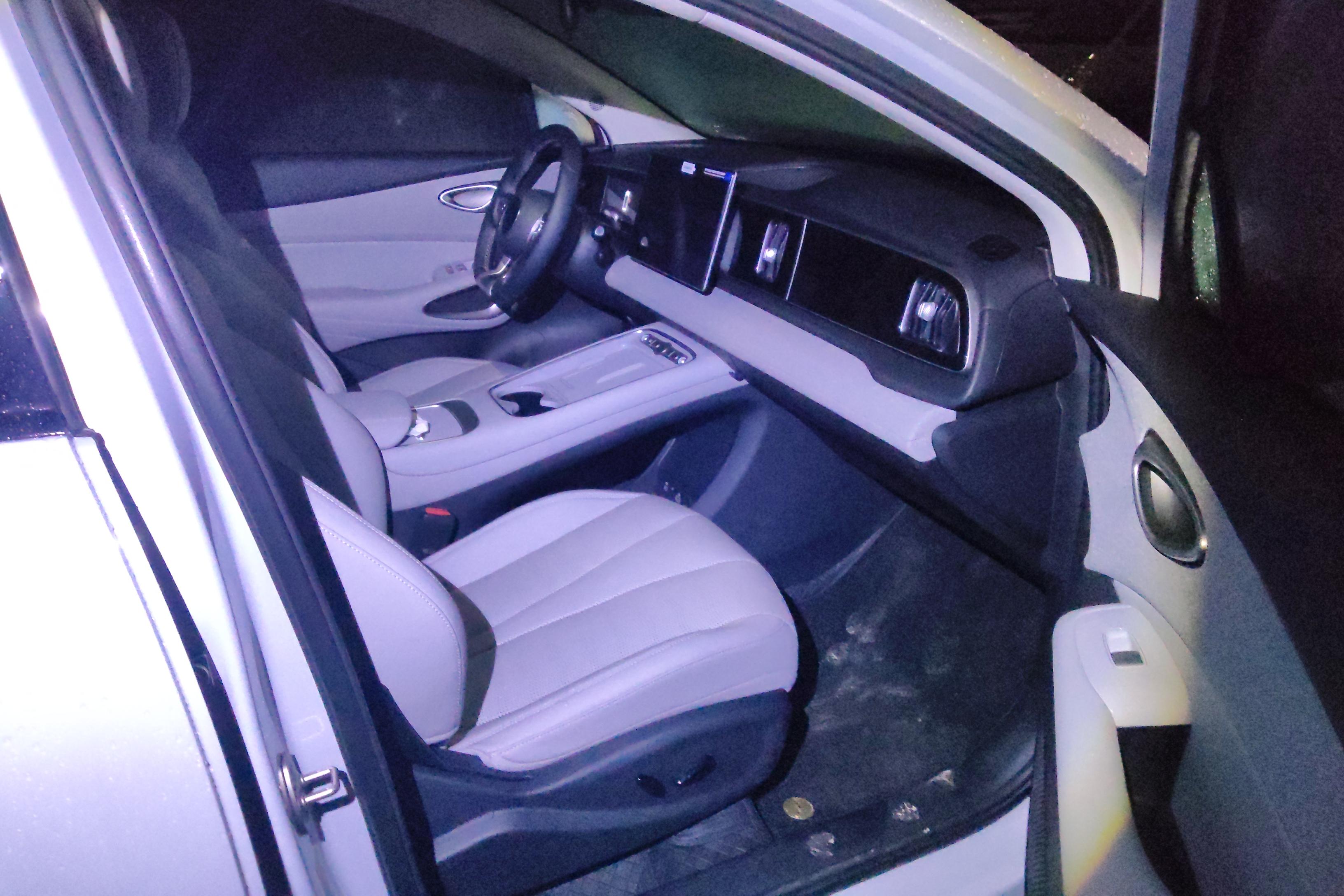 BYD Sea Lion 05 EV 2025 car image #7