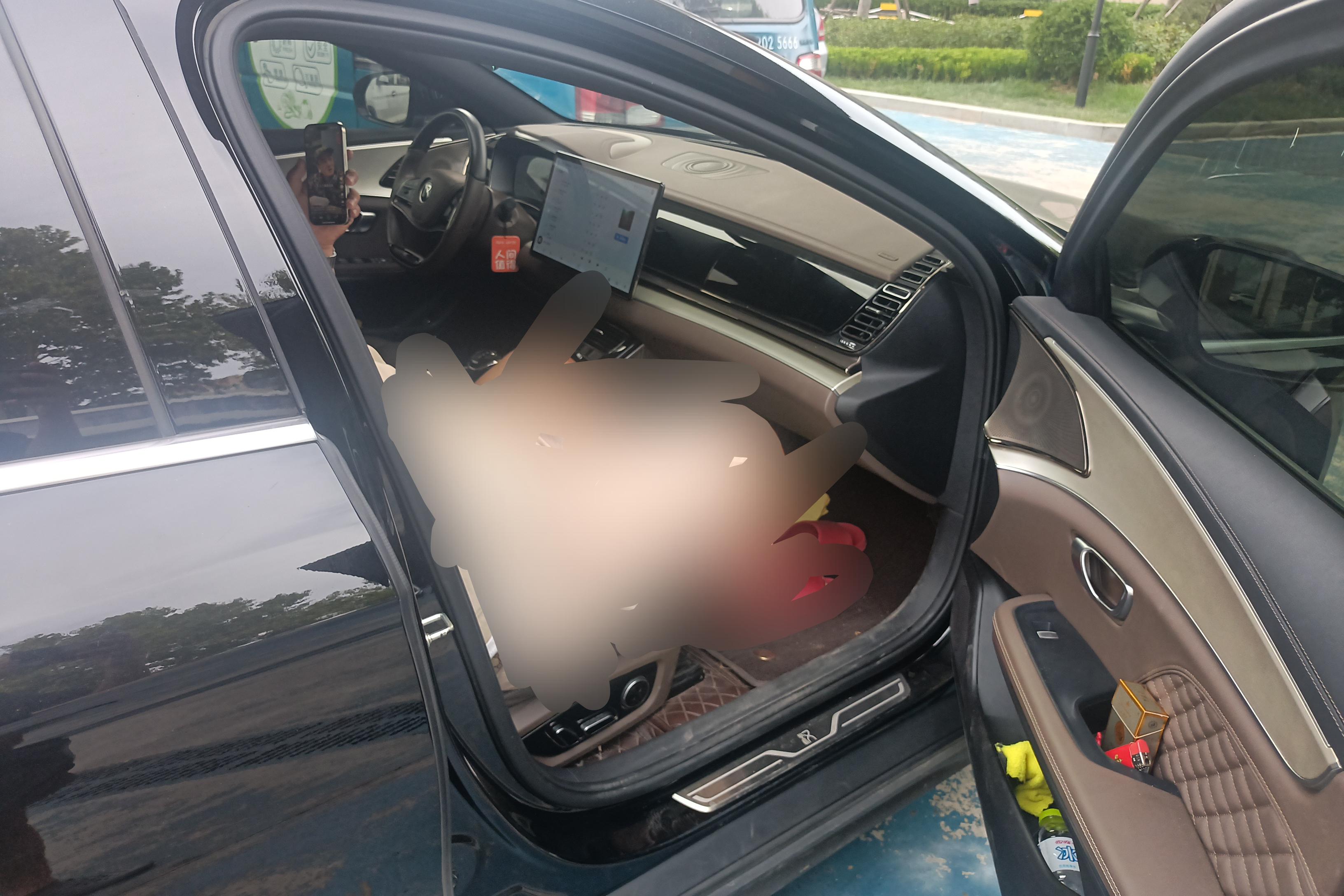 BYD Xia 2024 immagine di auto #7