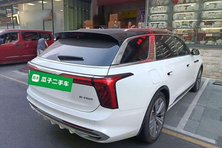 HongQi E-HS9 2023 car image #7