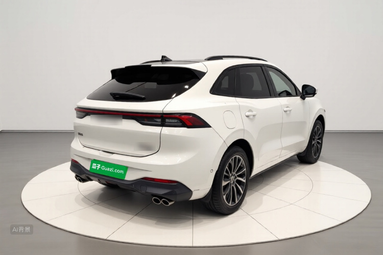 T5 EVO 2021 car image #7